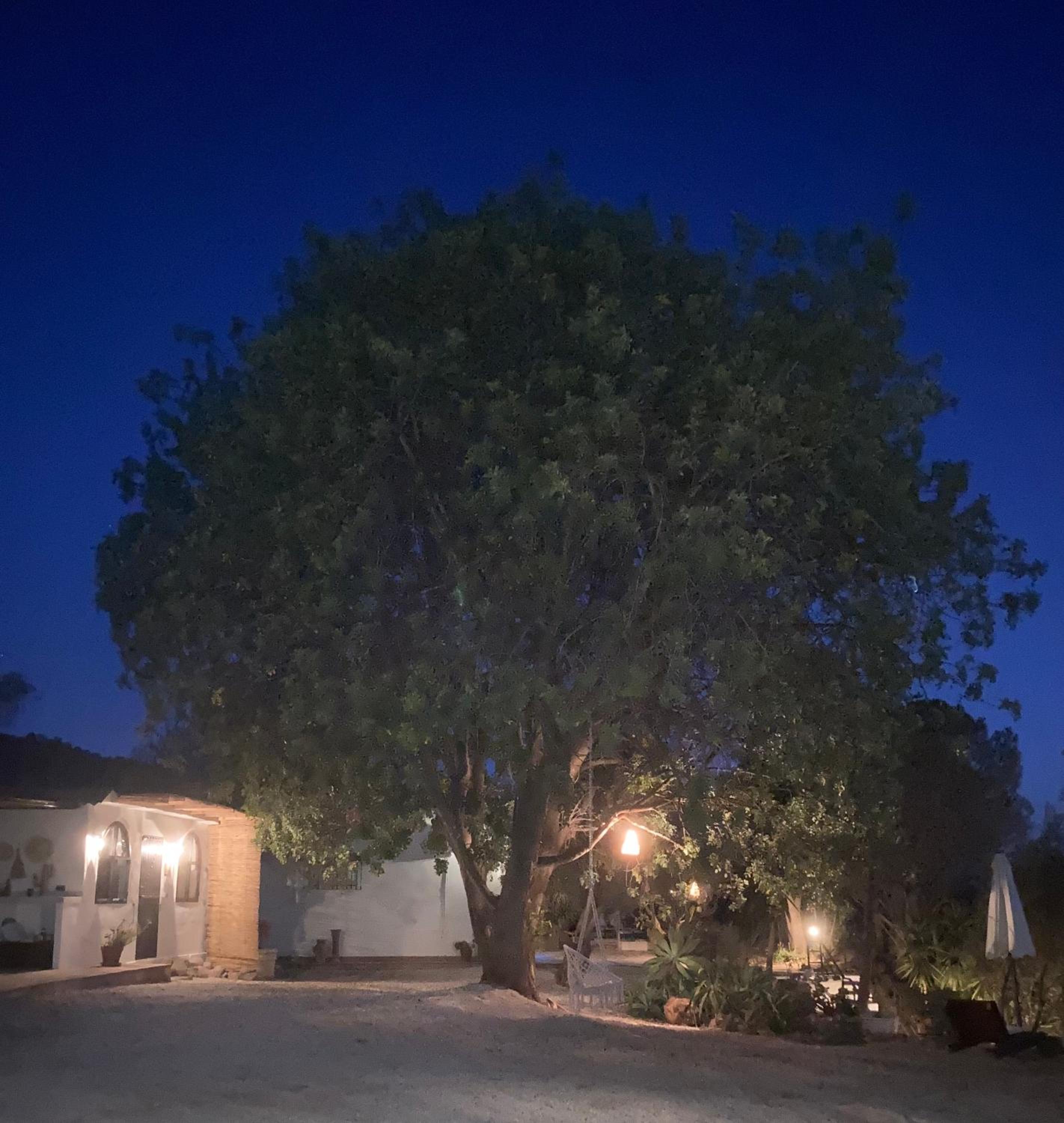 Casa del Sueño