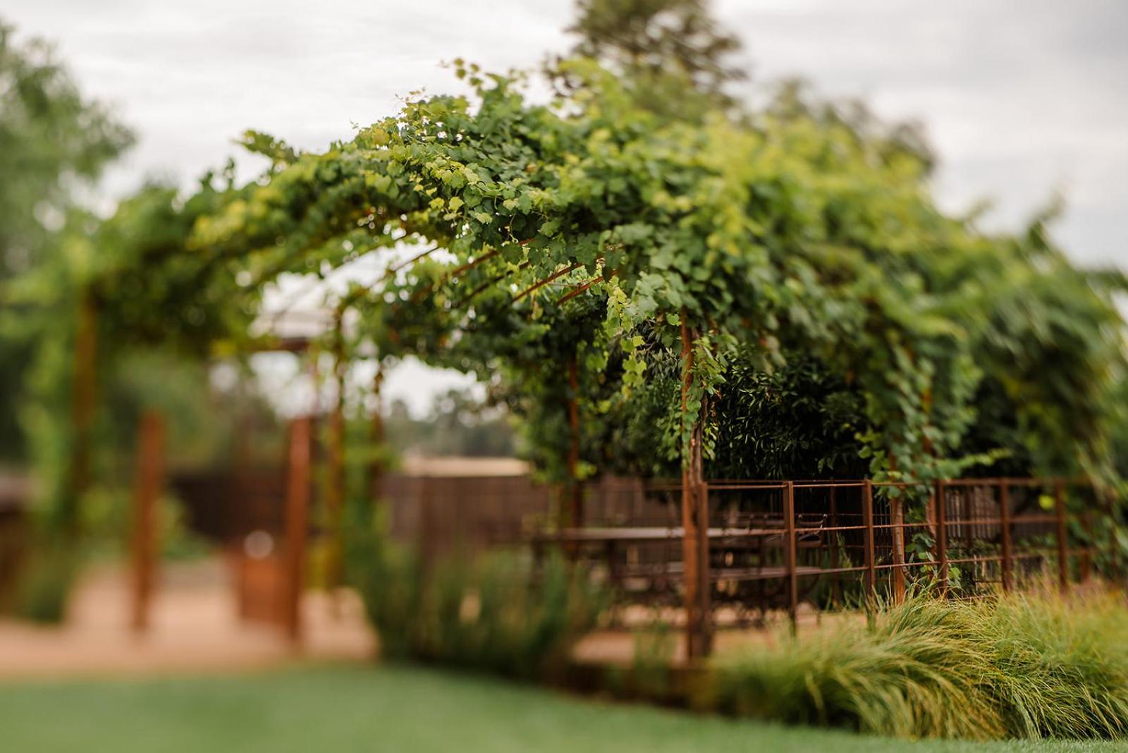 Rutherglen Farm Stay