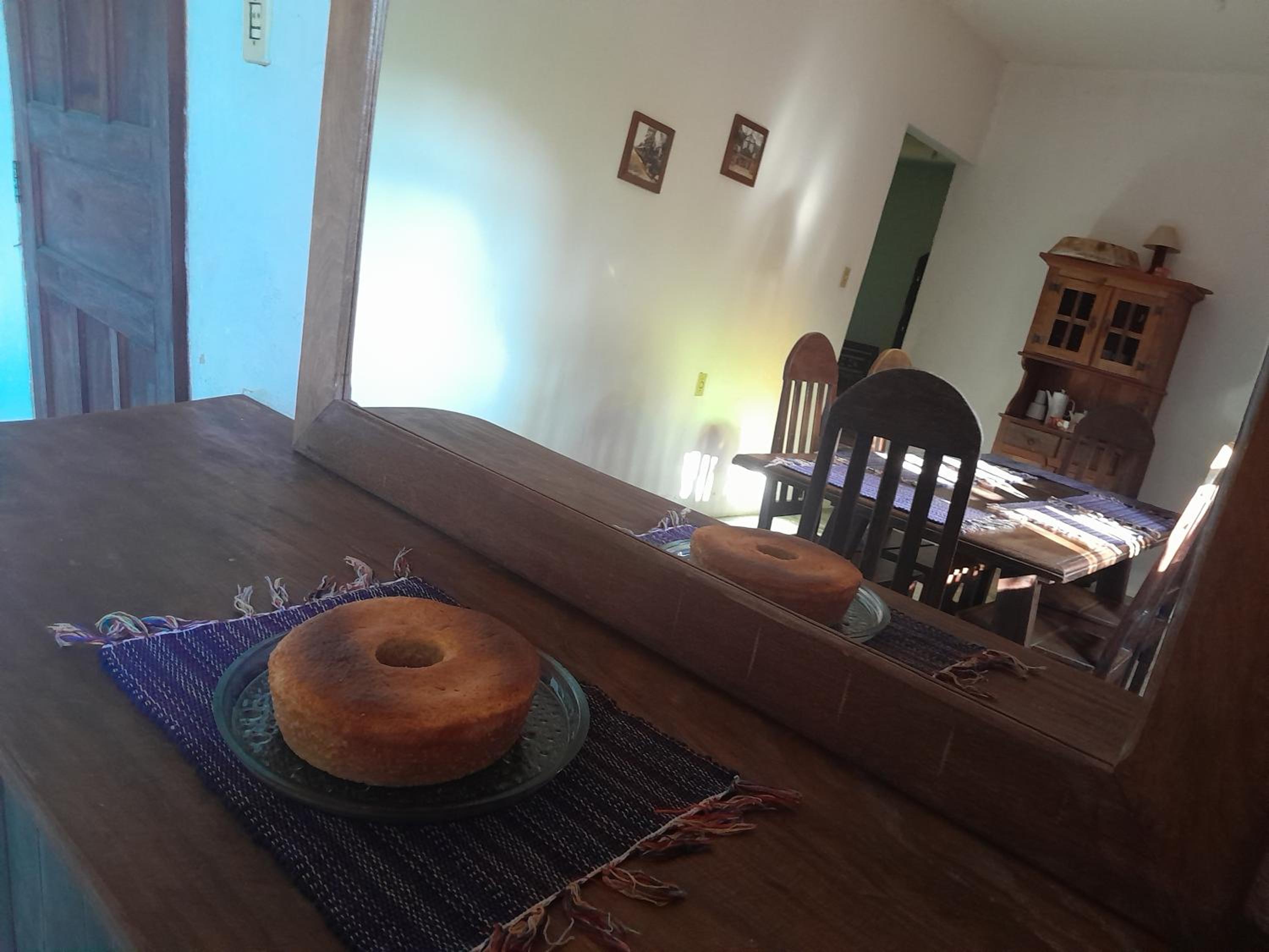 Encanto das Borboletas