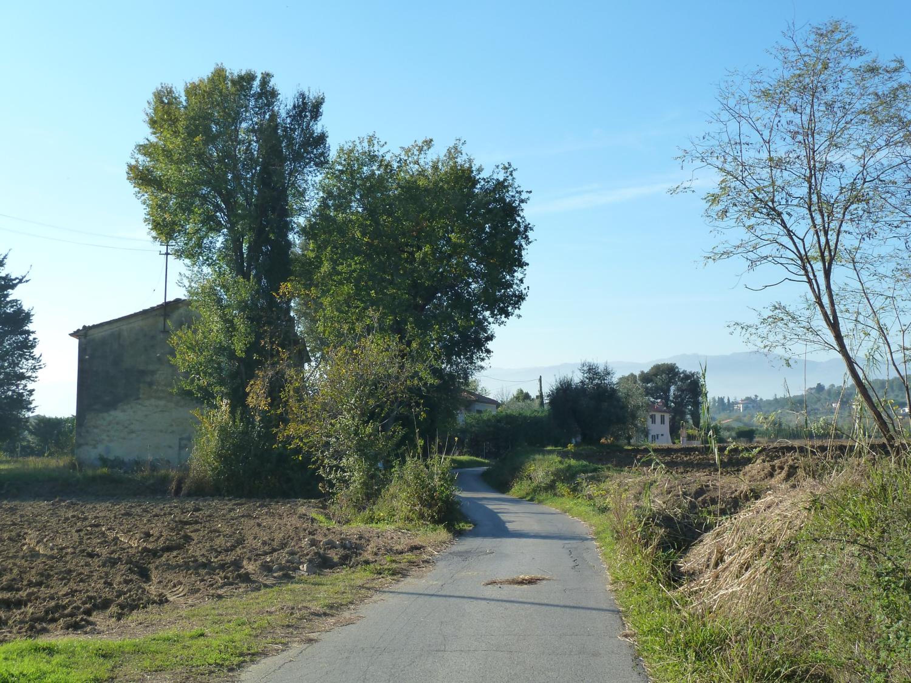 Photo 49