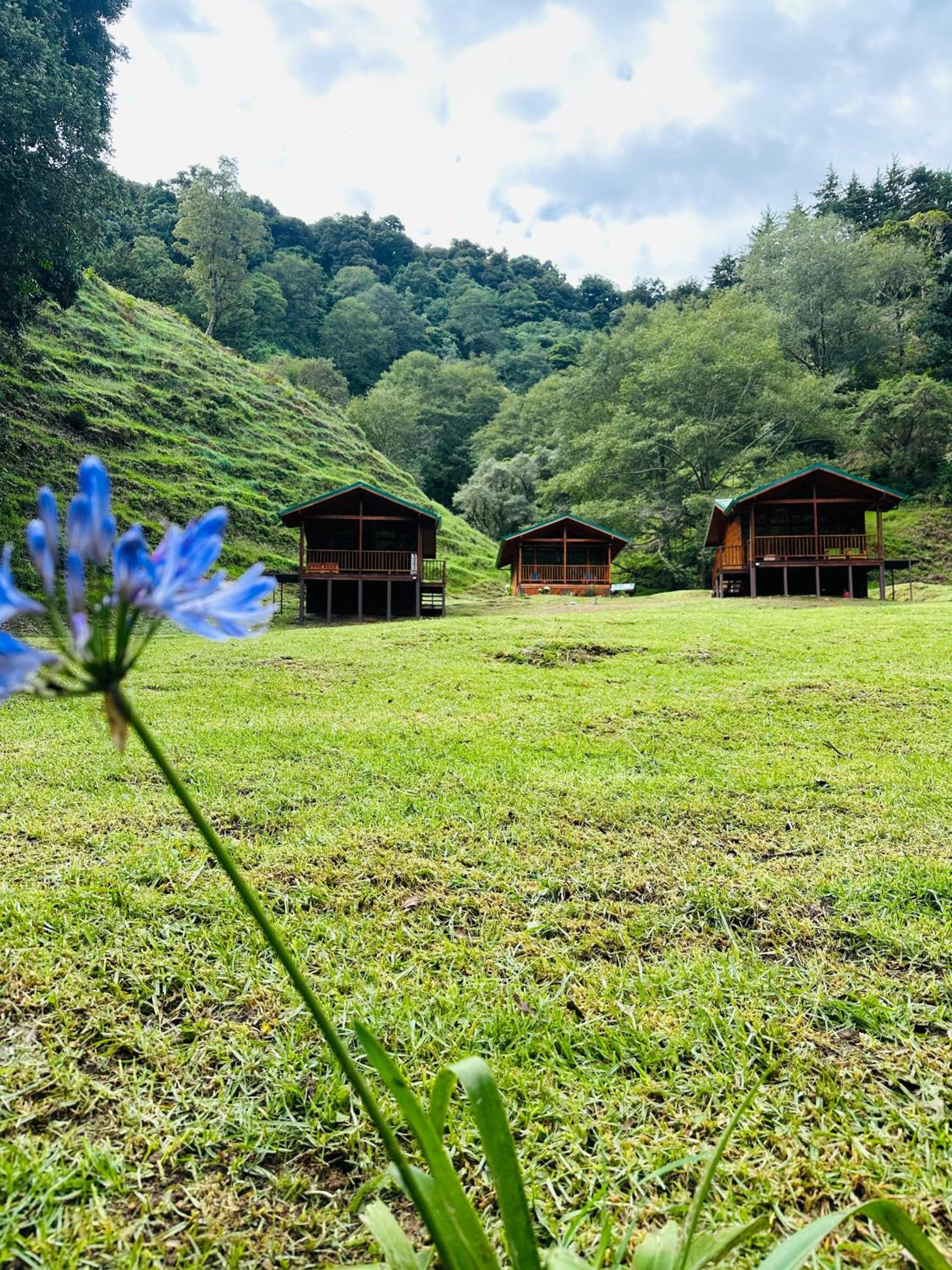 Entre Árboles Lodge