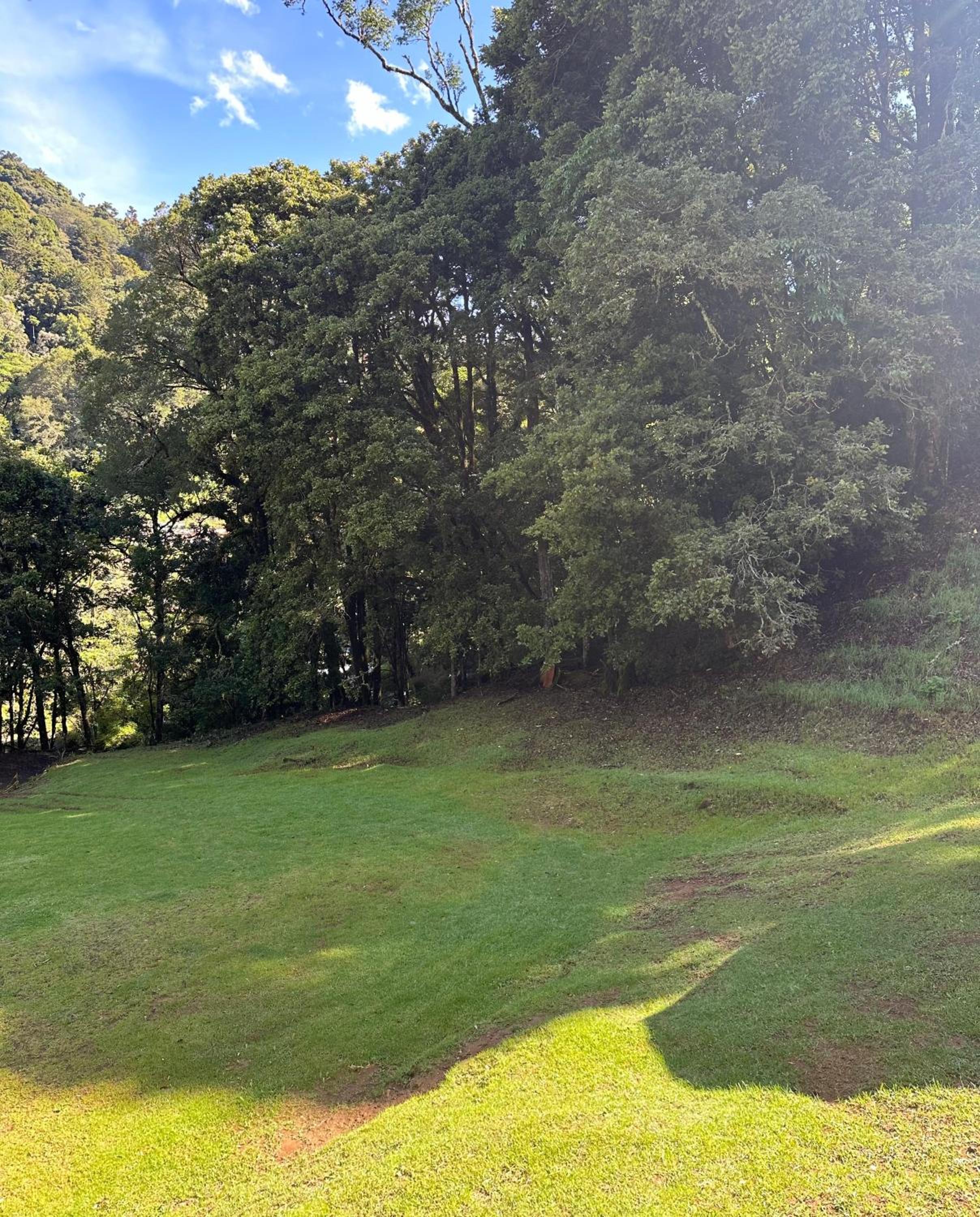Entre Árboles Lodge