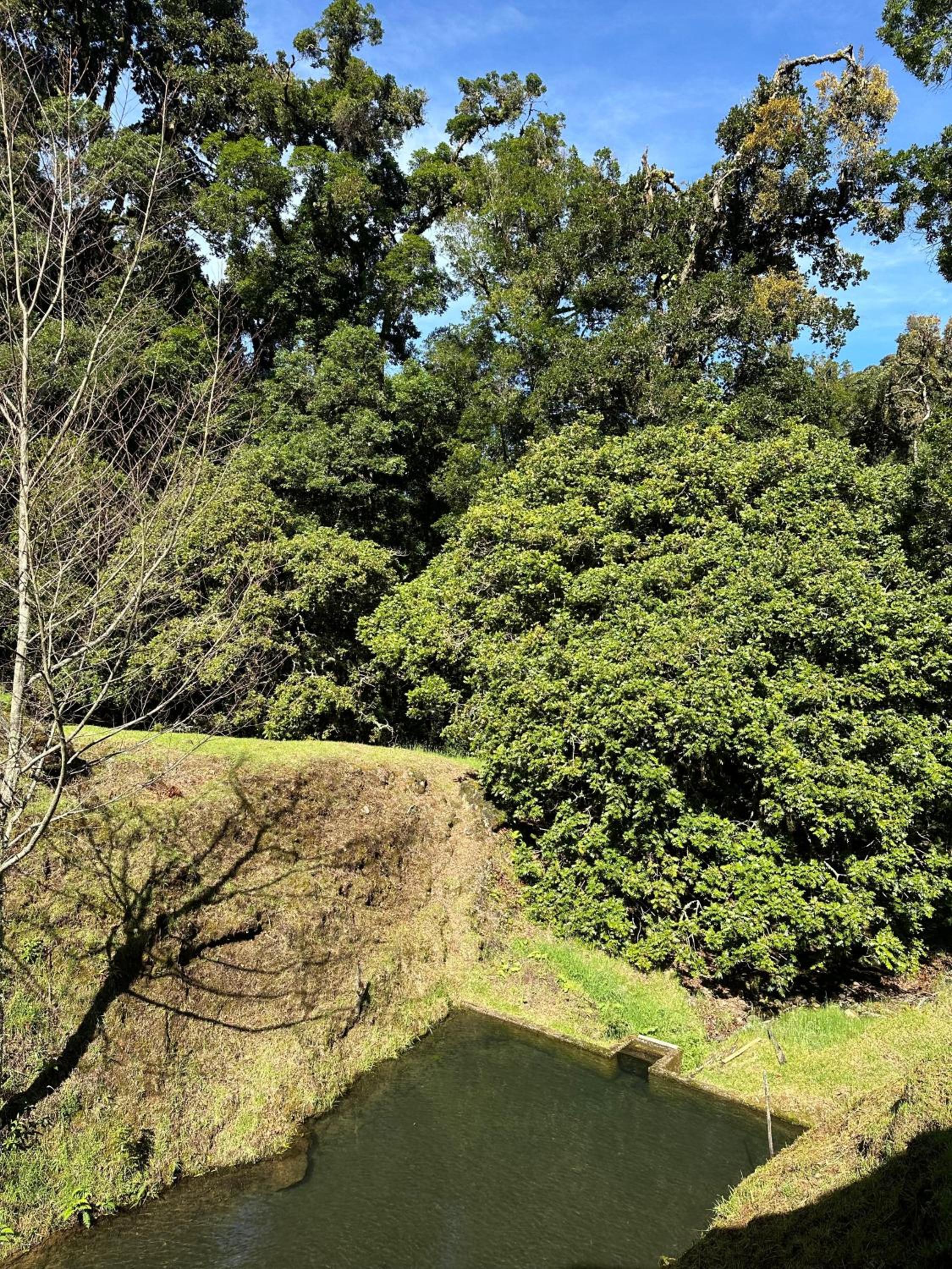 Entre Árboles Lodge