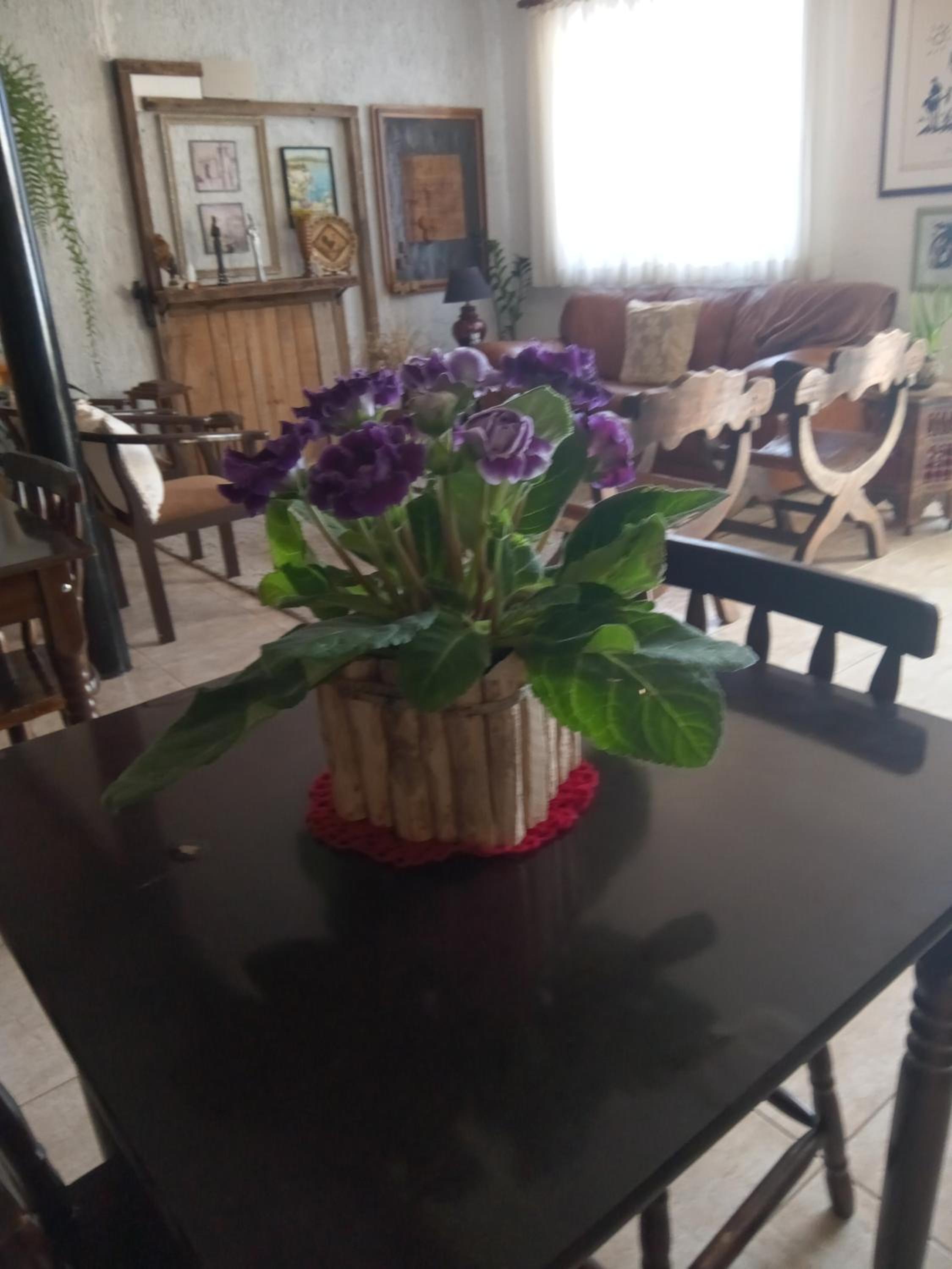 Pousada Casa Jardim