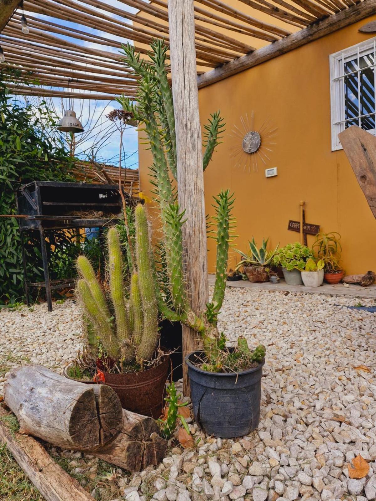 casadeplayamdp