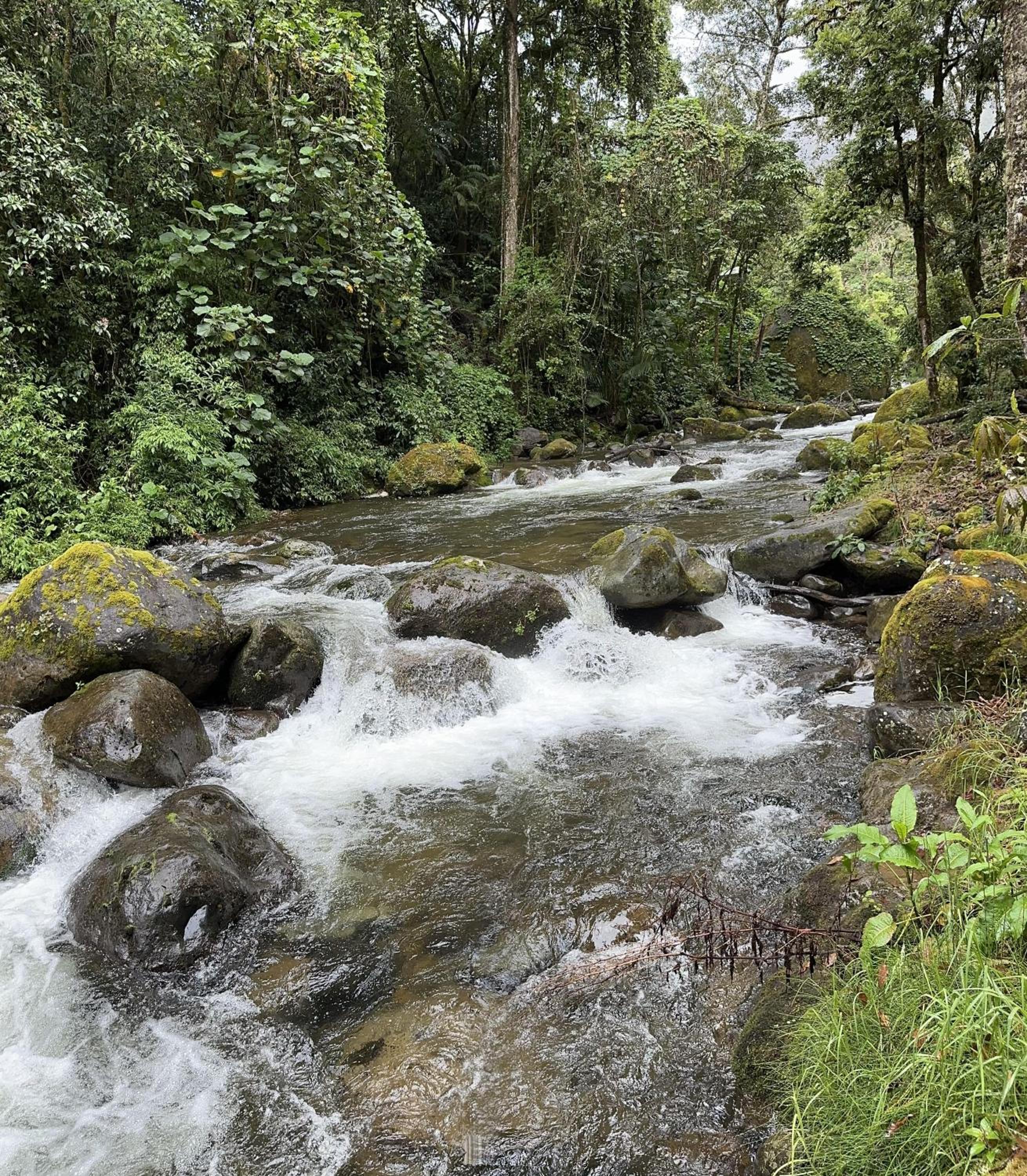 Entre Árboles Lodge