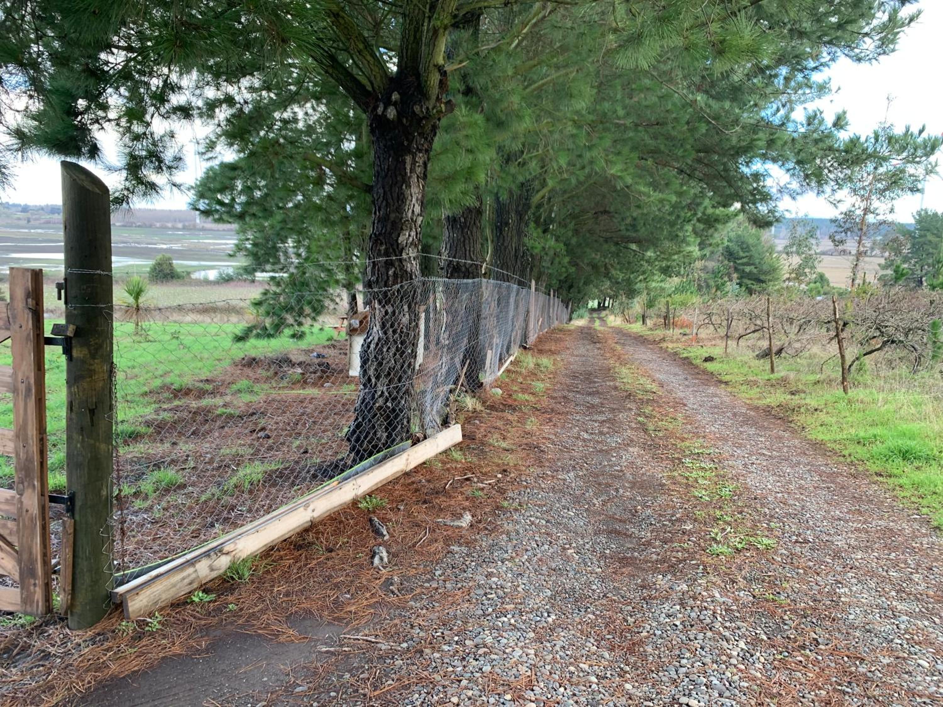 Casa de campo con tinaja en Los Ángeles