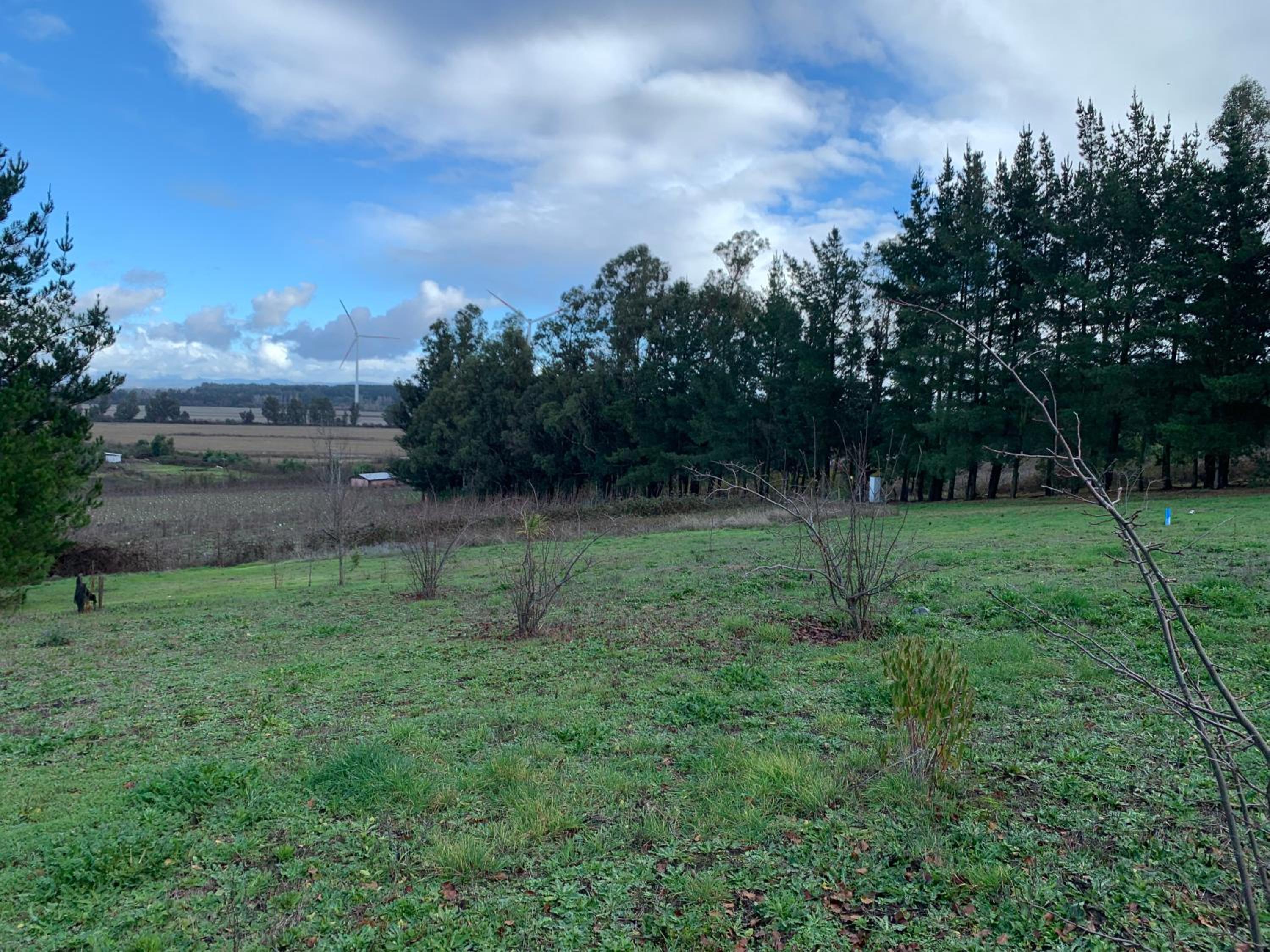 Casa de campo con tinaja en Los Ángeles