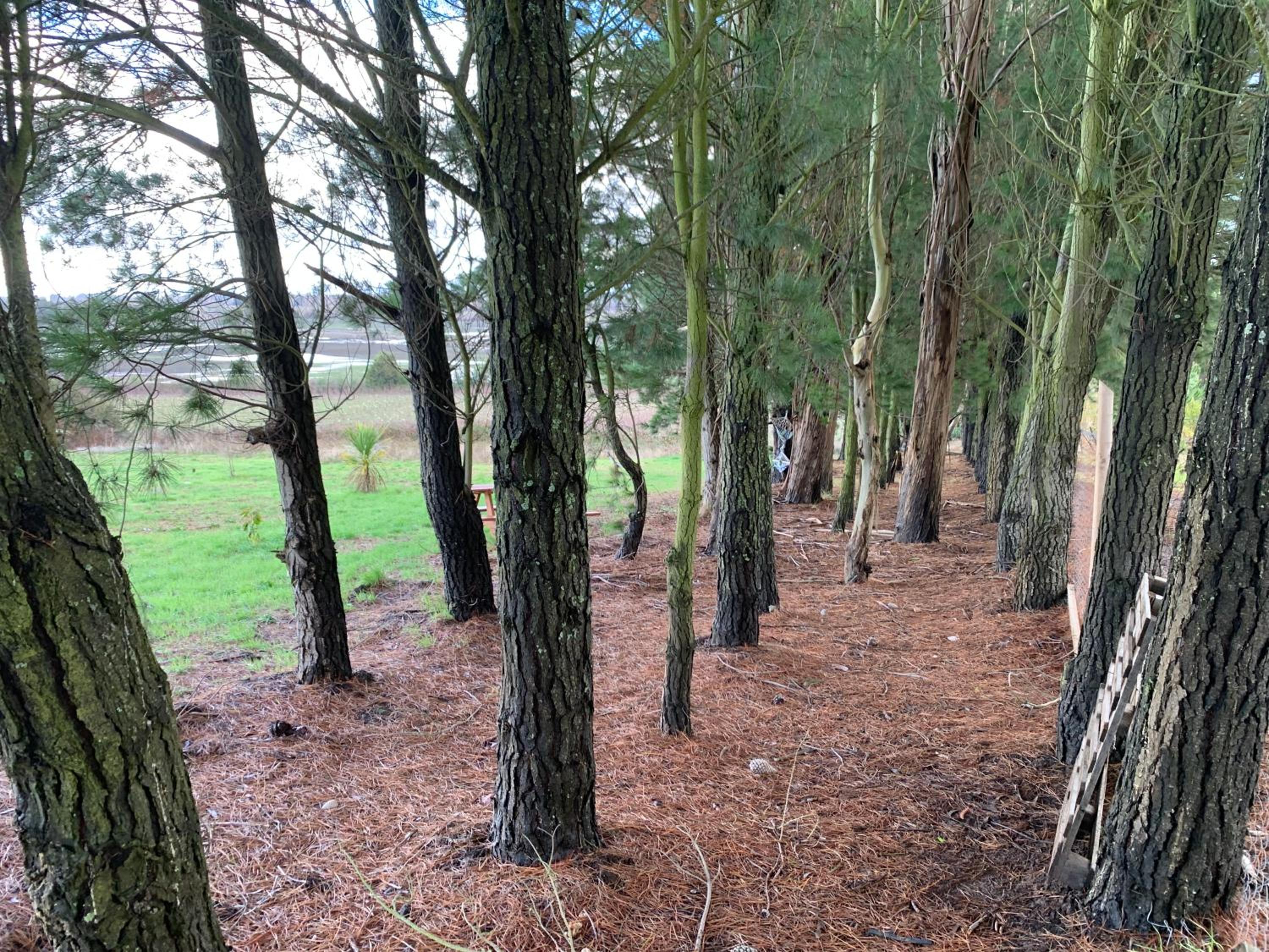 Casa de campo con tinaja en Los Ángeles