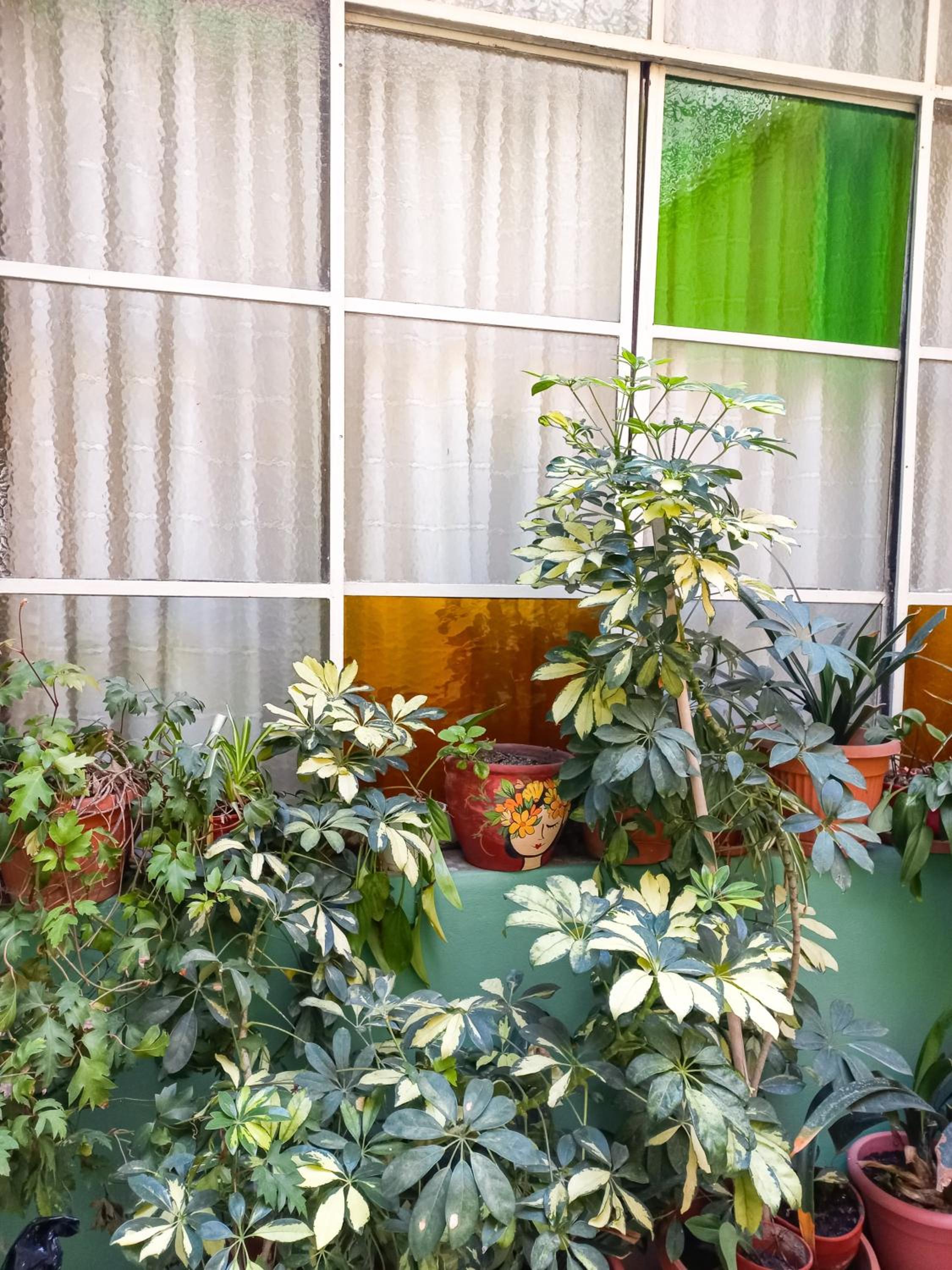 Casa Coronel