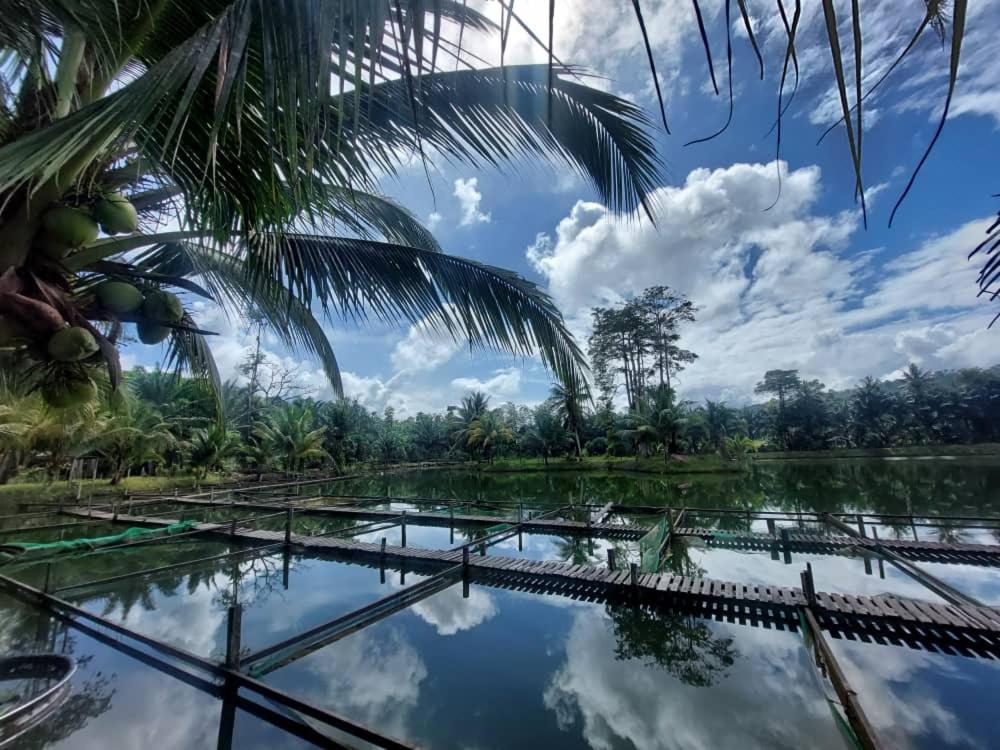 Villa Kolam Legenda photo 5