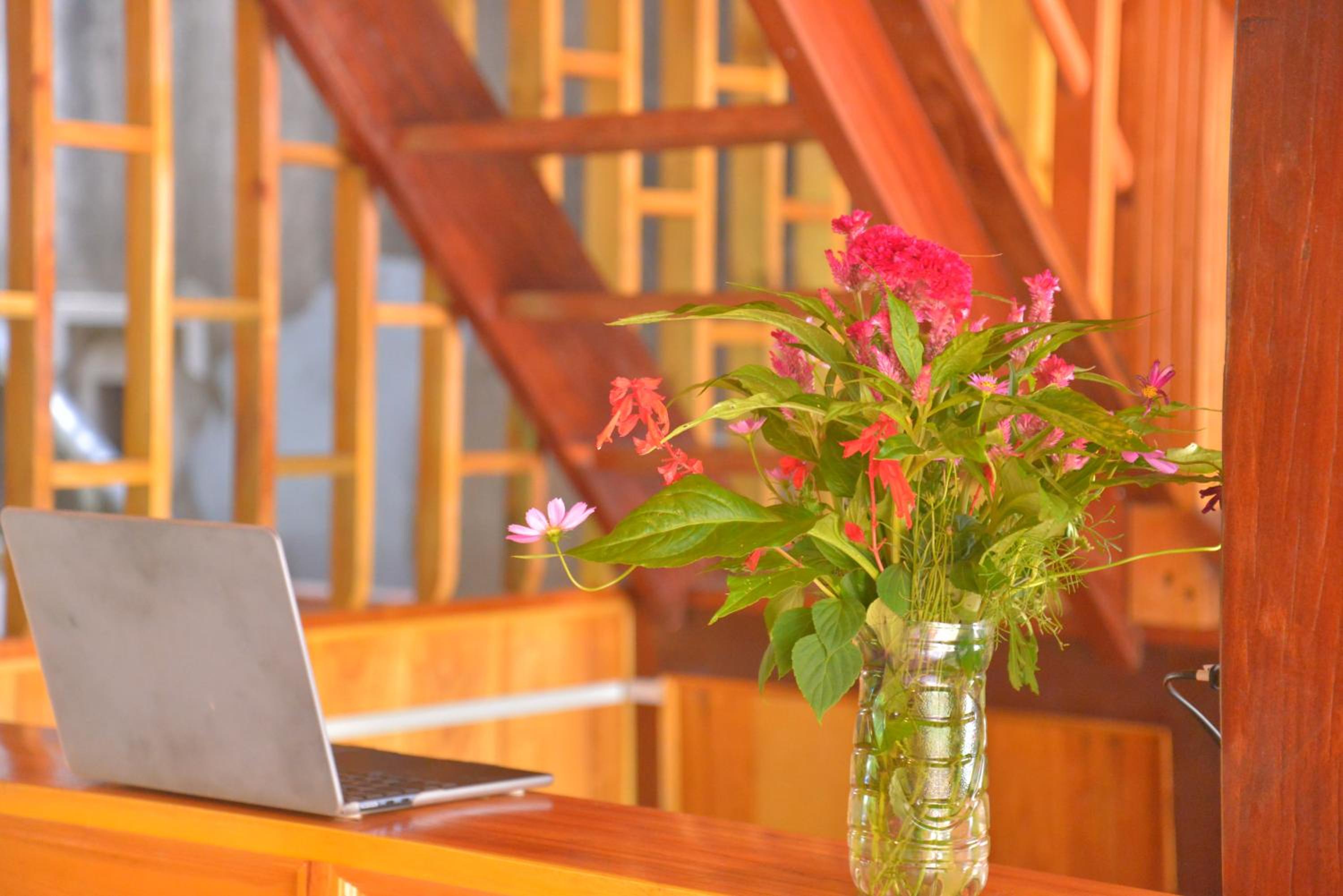 Duong Thuong - Eco House view 4