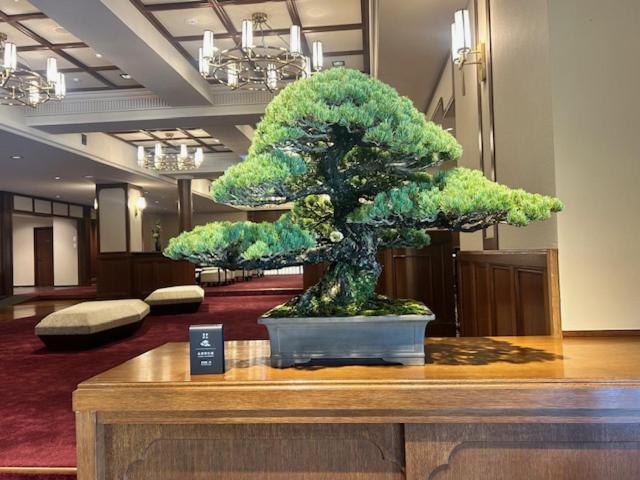 Shinzan Kinosaki
