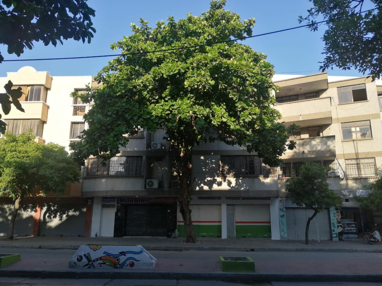 Apartamentos Manuel ll