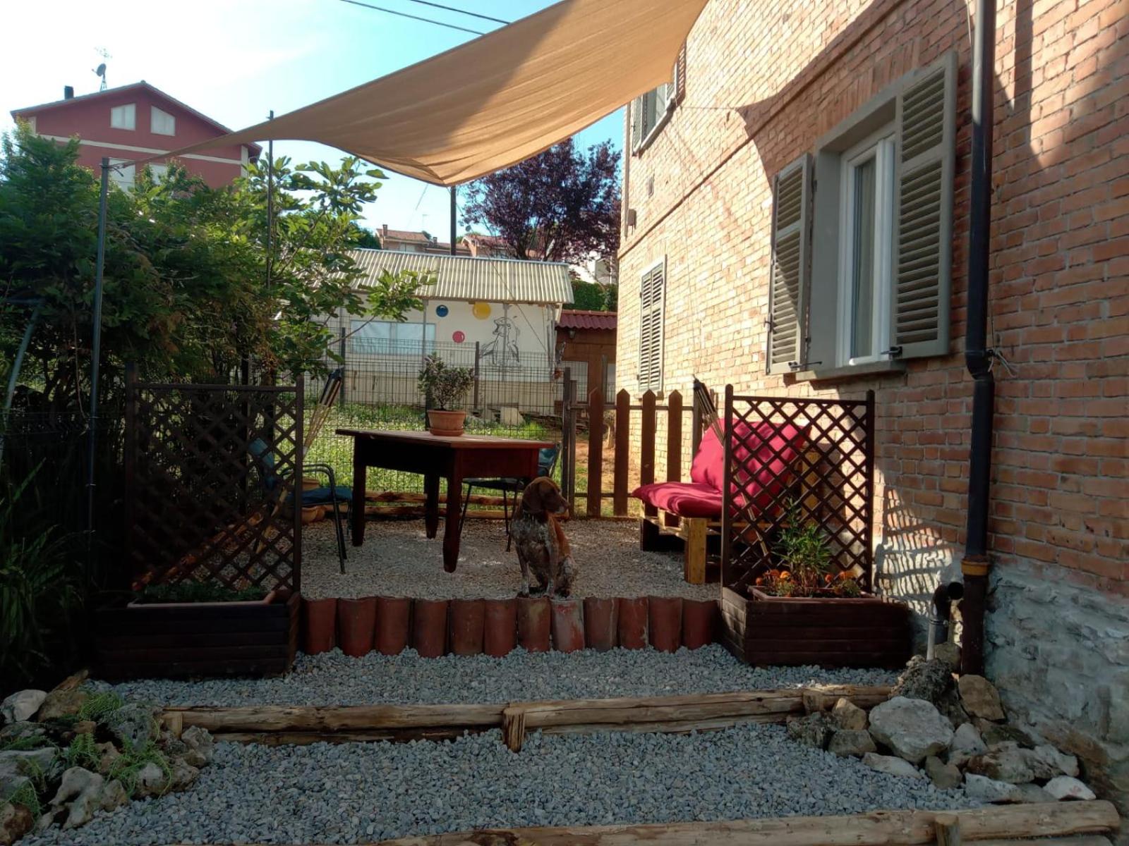 Photo 5
