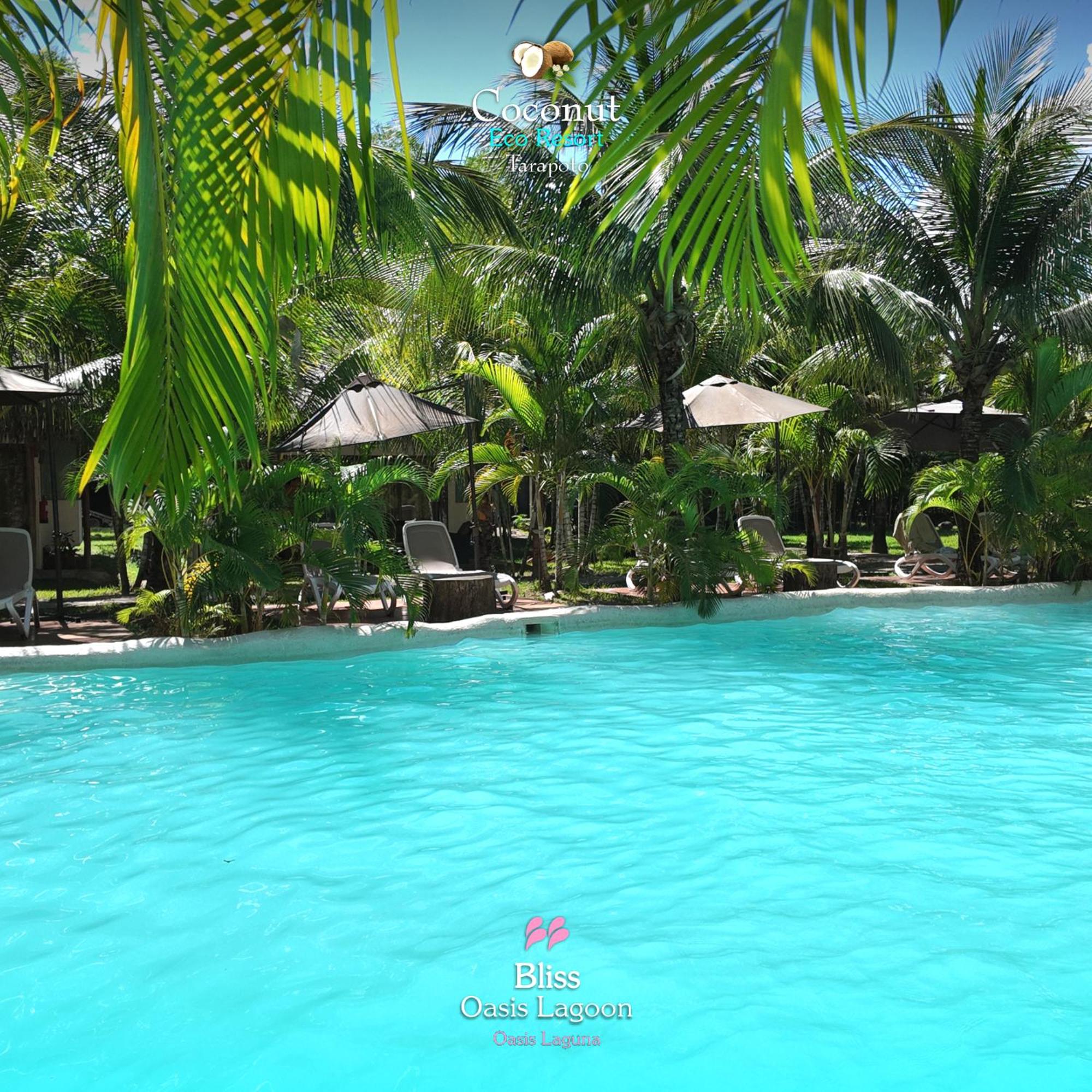 COCONUT TARAPOTO - ECO RESORT