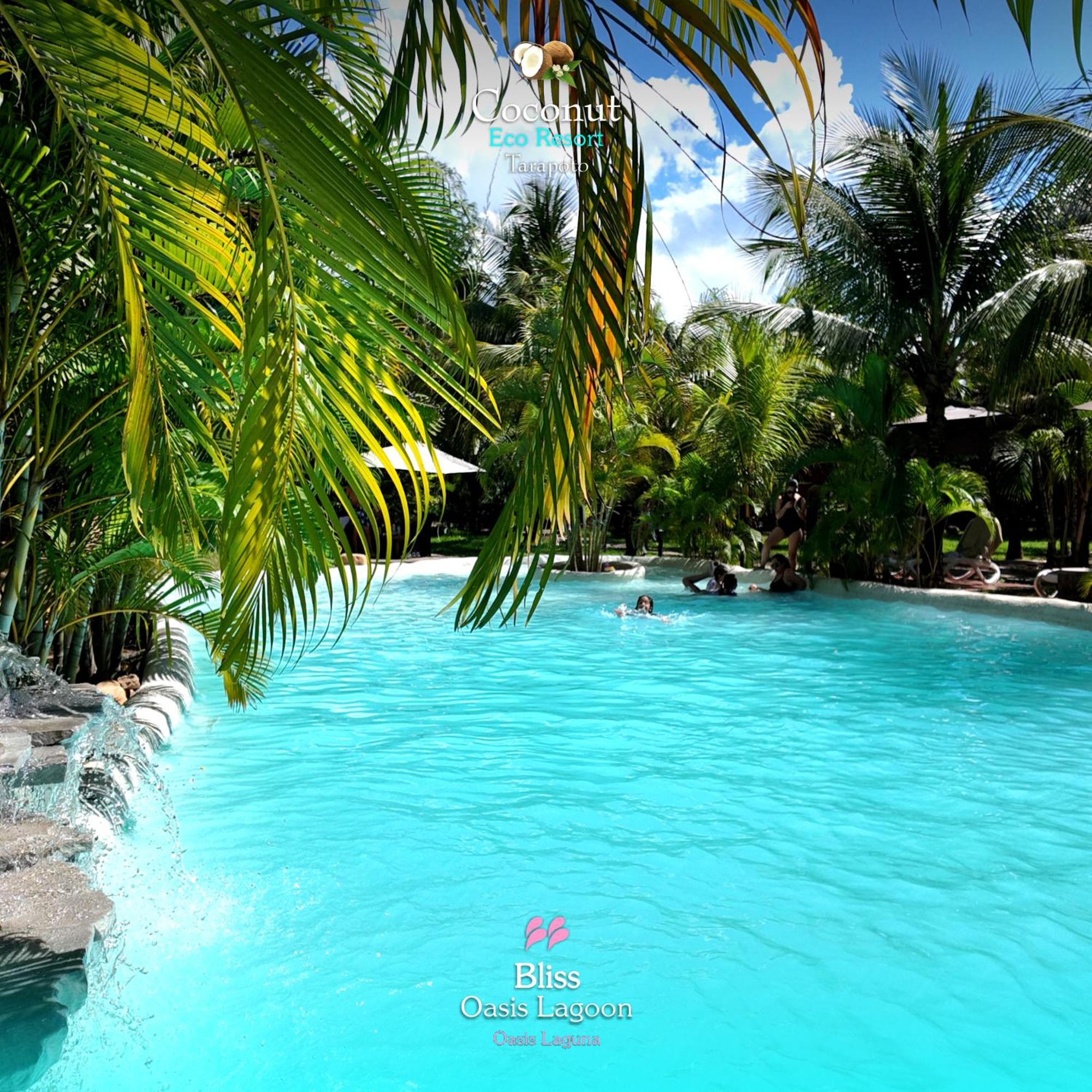 COCONUT TARAPOTO - ECO RESORT