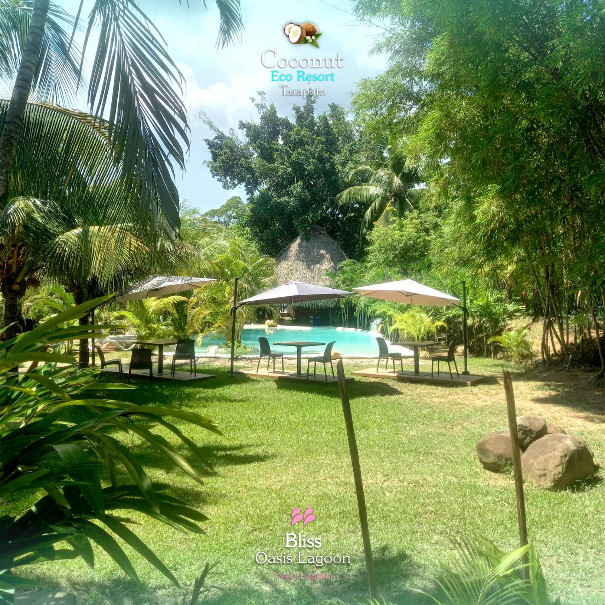 COCONUT TARAPOTO - ECO RESORT