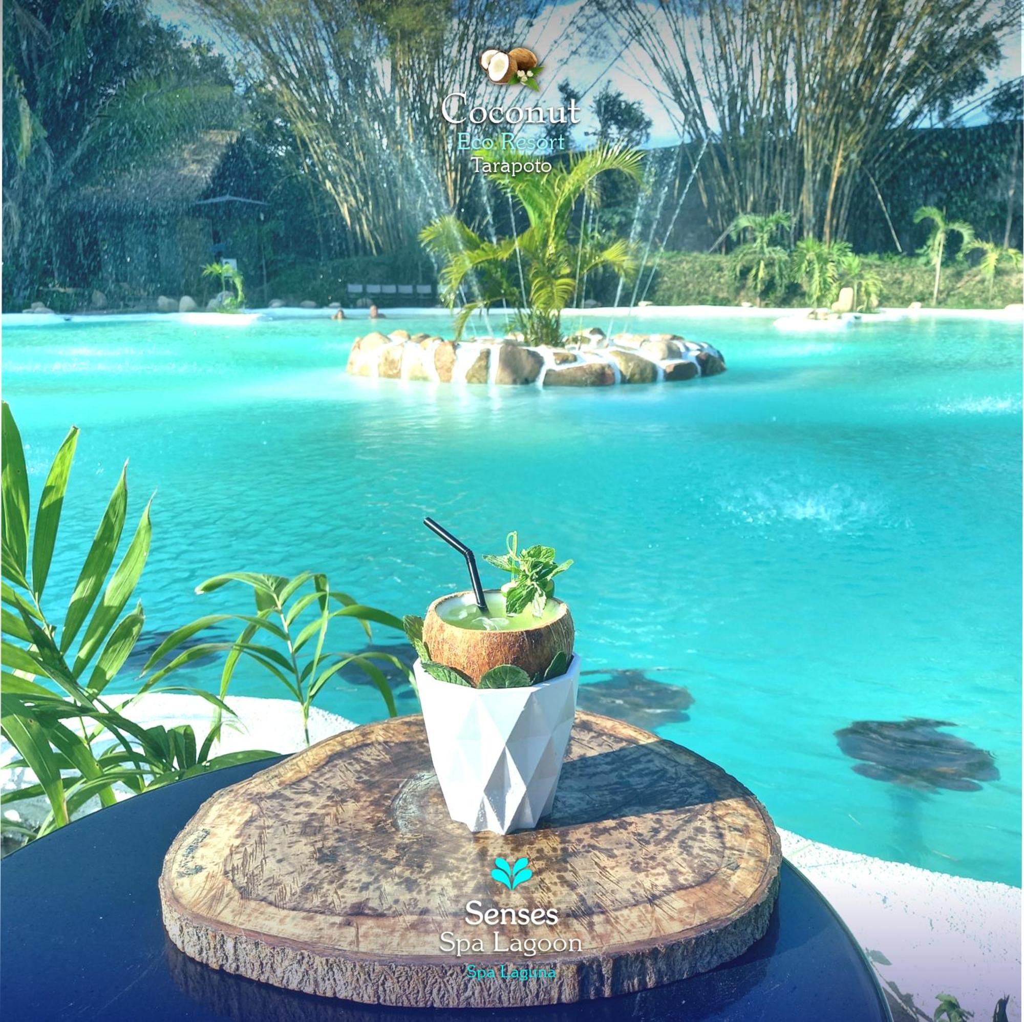 COCONUT TARAPOTO - ECO RESORT