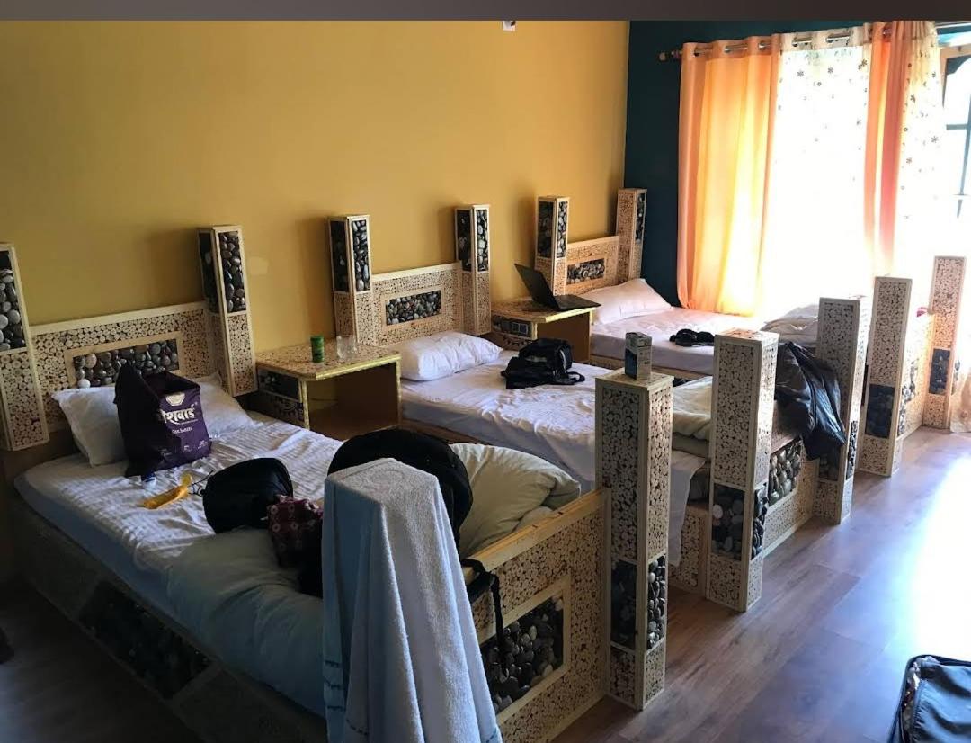 Green Valley Homestay - Boutique stay in Sumur, Nubra Valley view 2