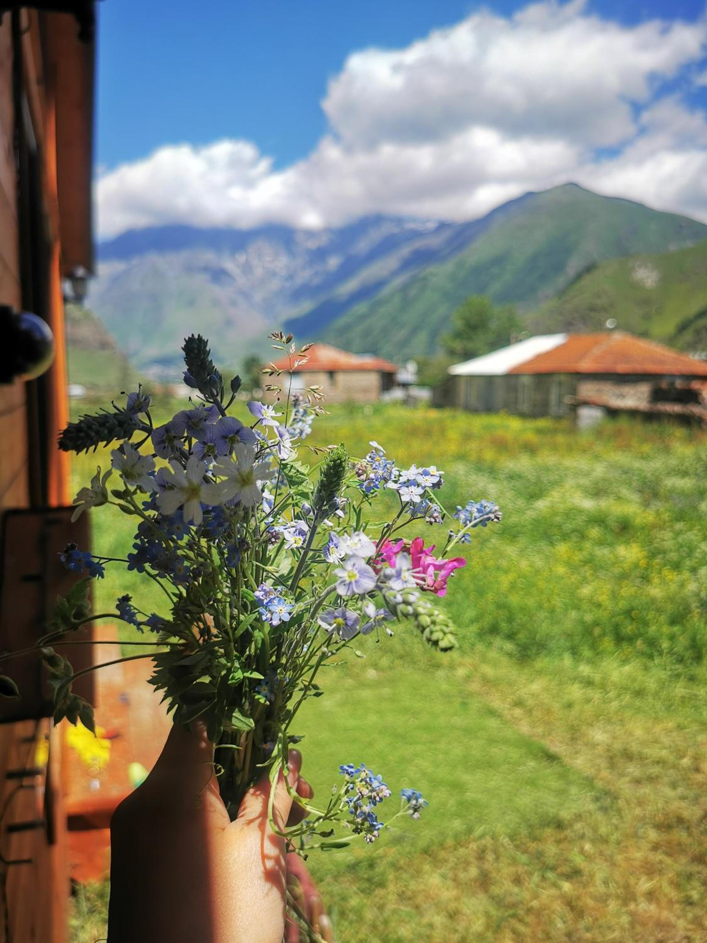 Kazbegi Mountain Cottage MTA-Shi view 5