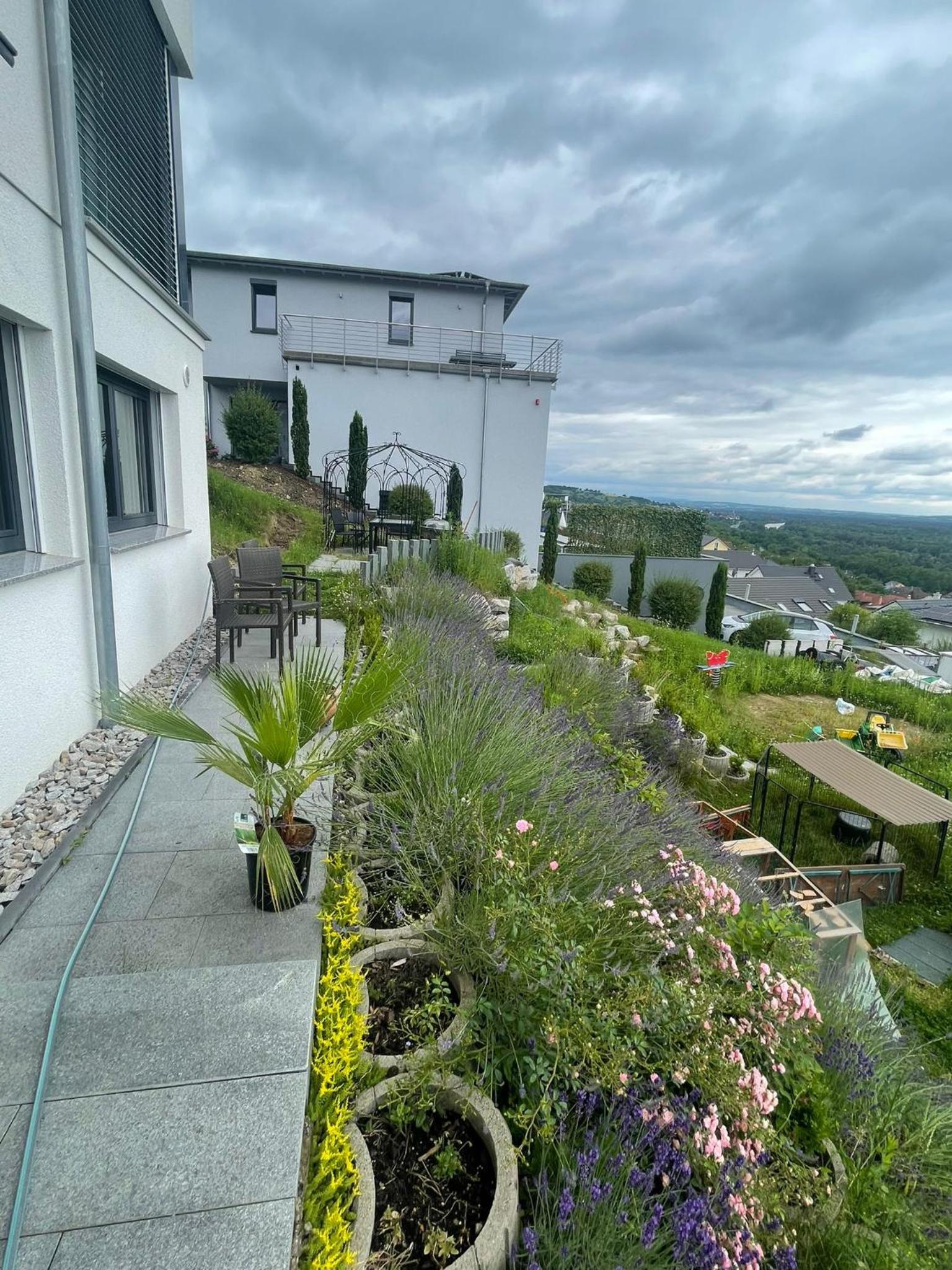 Vogesenblick