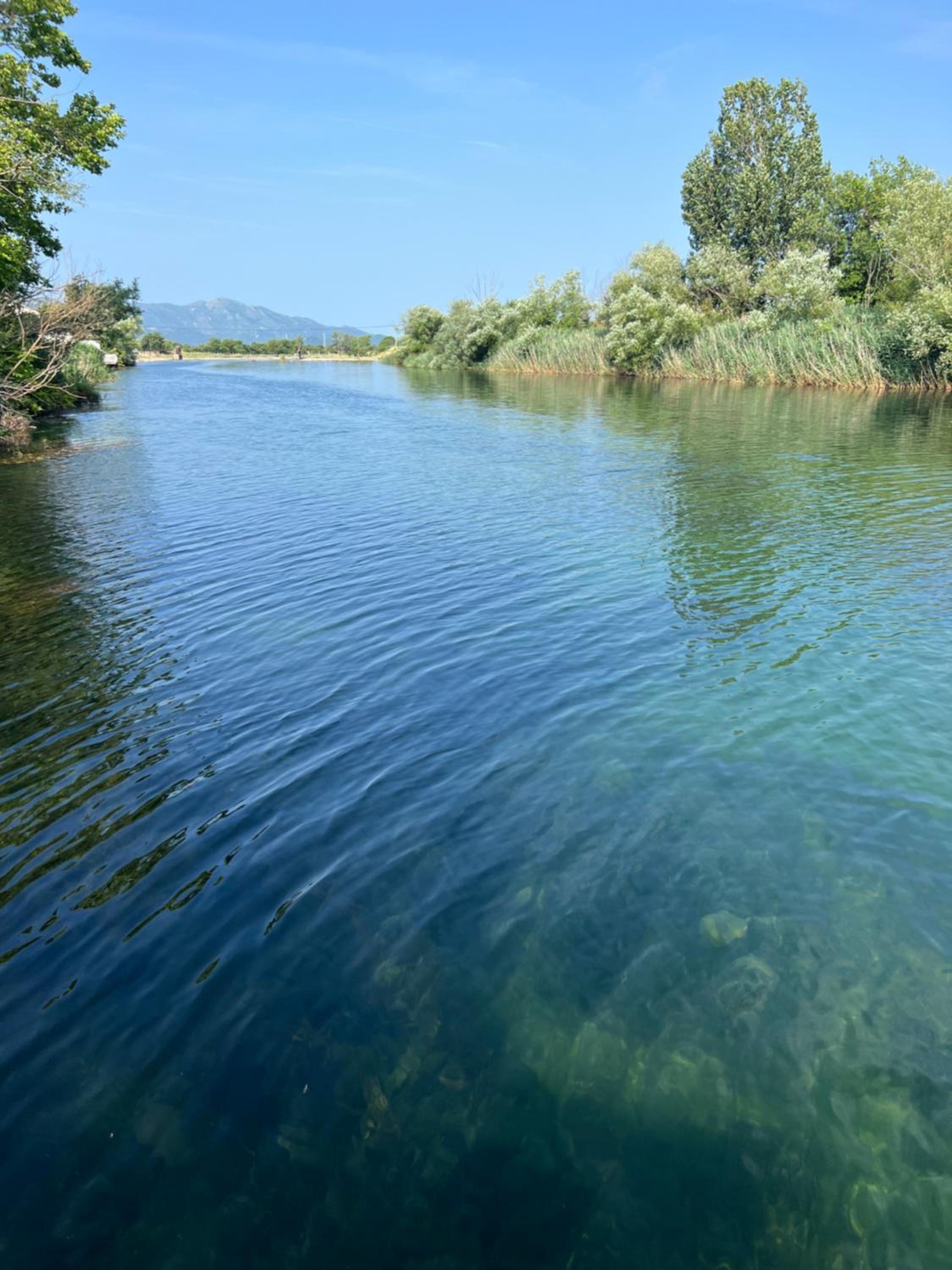 Odmor uz Trebišnjicu