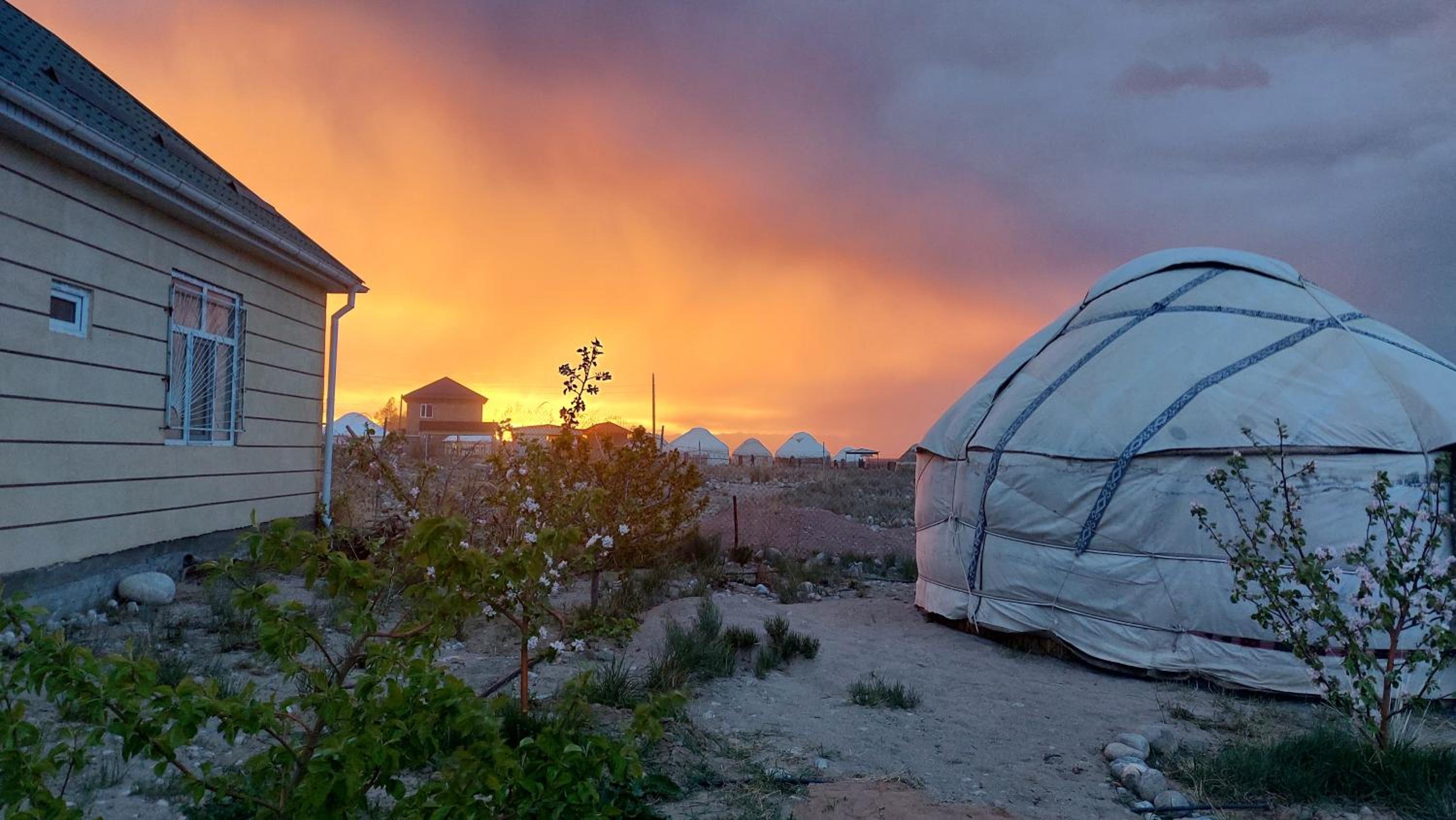 Guest house and yurt camp Svetlana