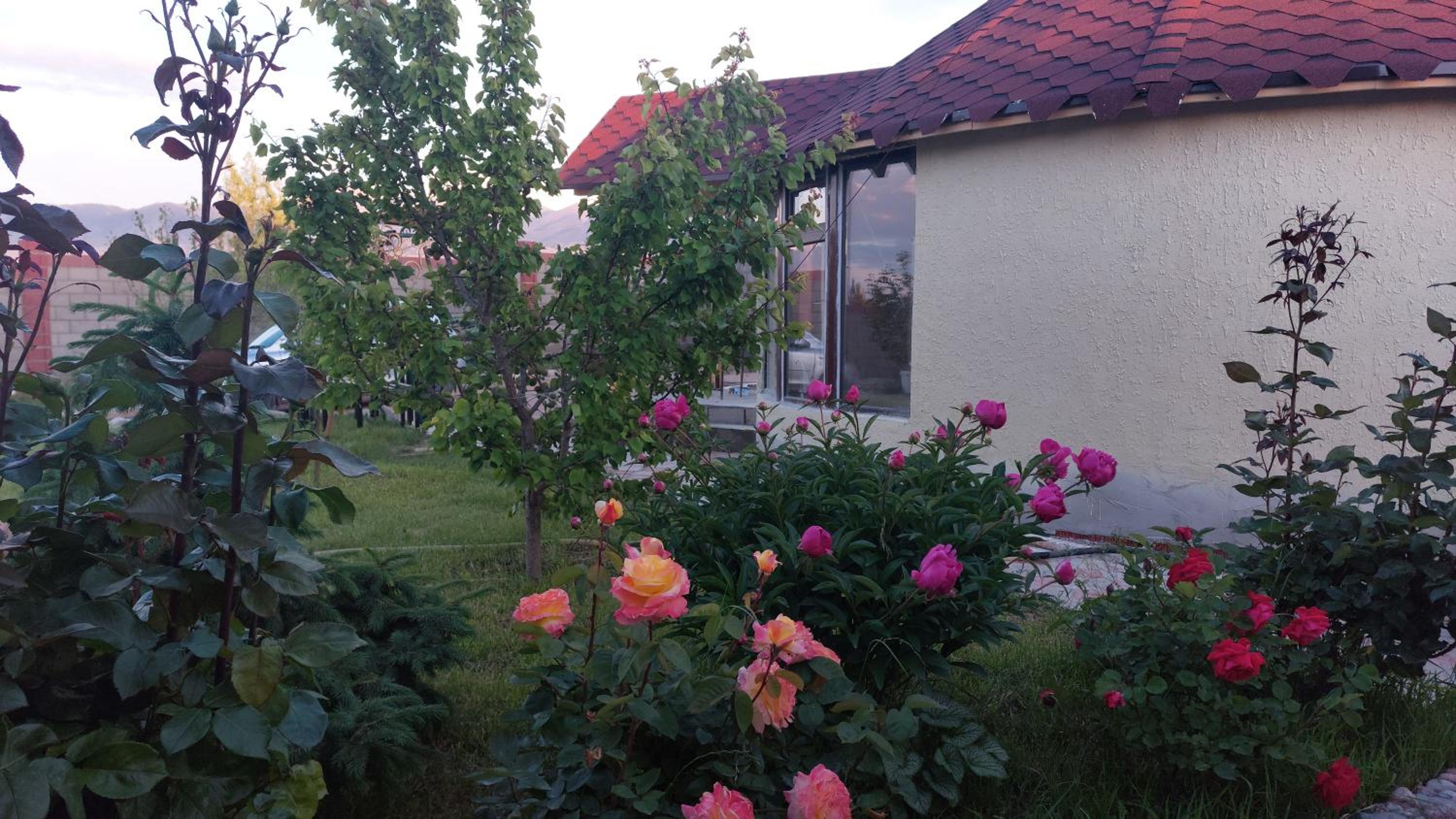 Guest house and yurt camp Svetlana