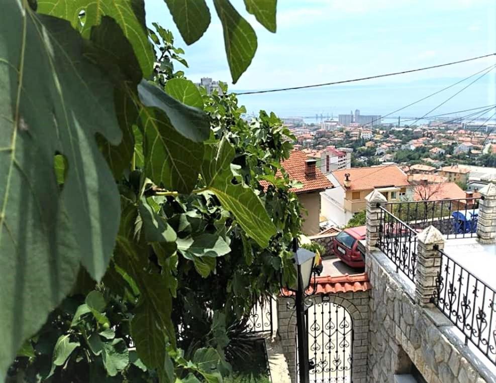 Apartment Mediterranean Garden Rijeka view 4