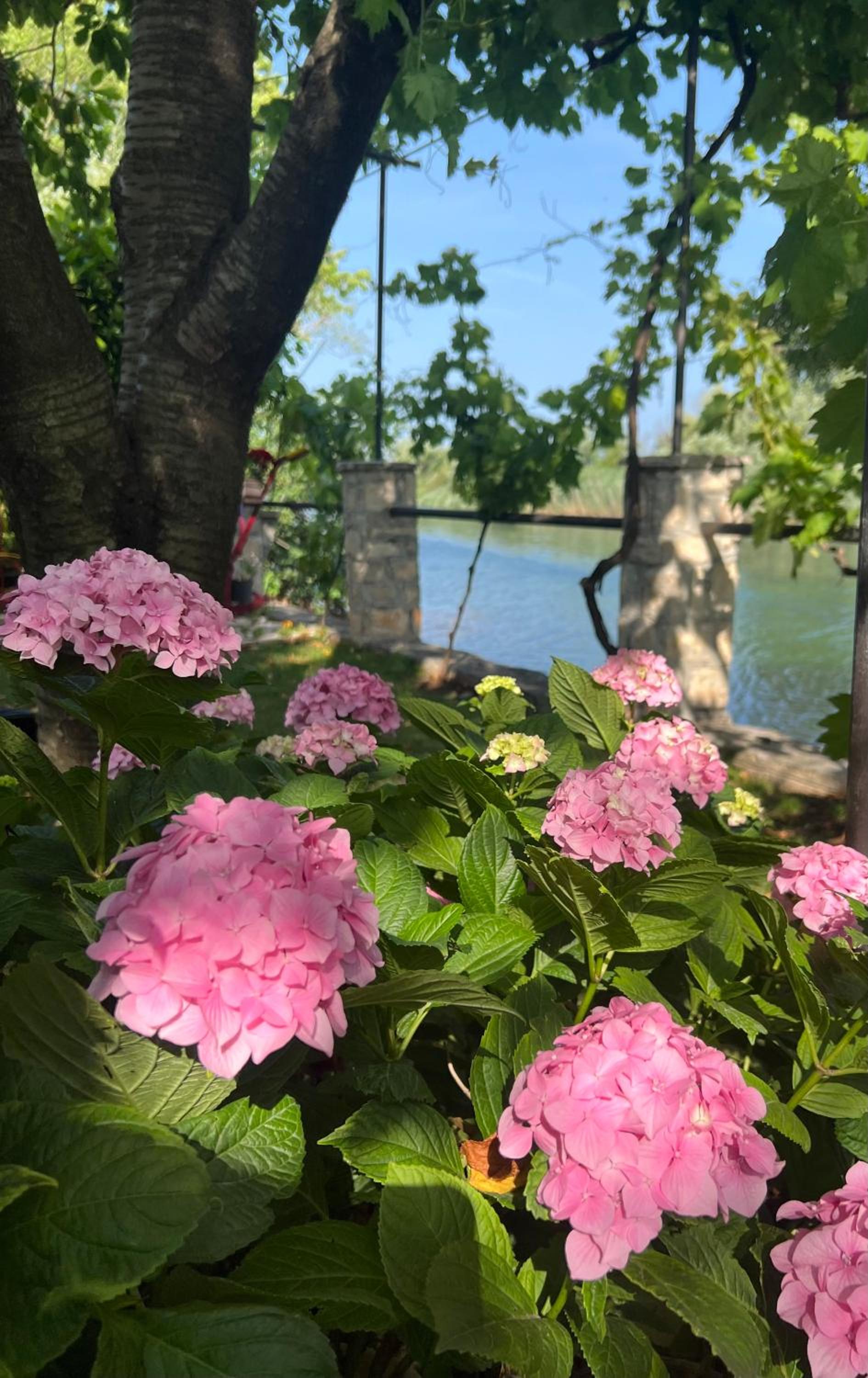 Odmor uz Trebišnjicu