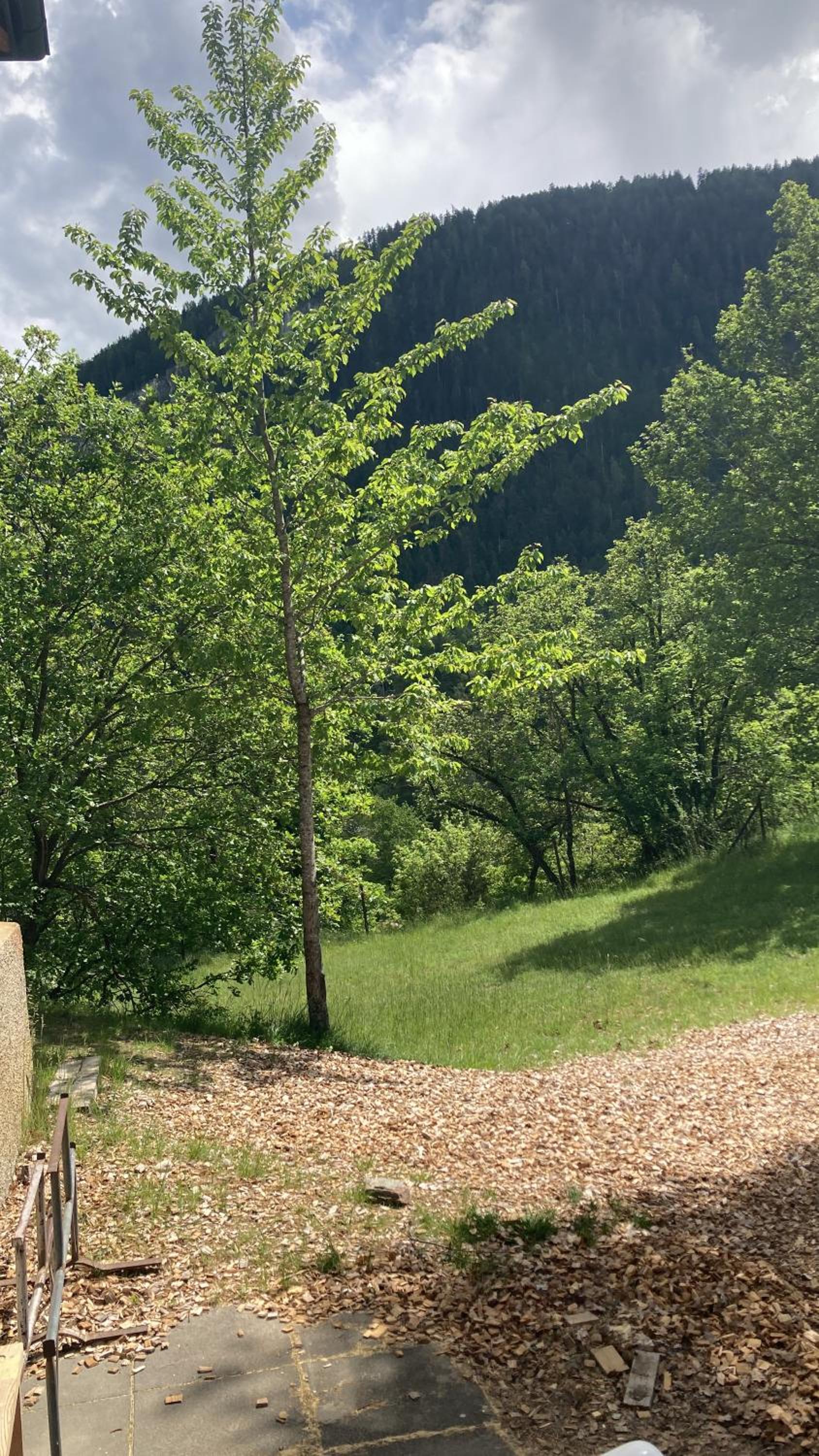 Ô Bercail Gîte de basse montagne 7' de vercorin