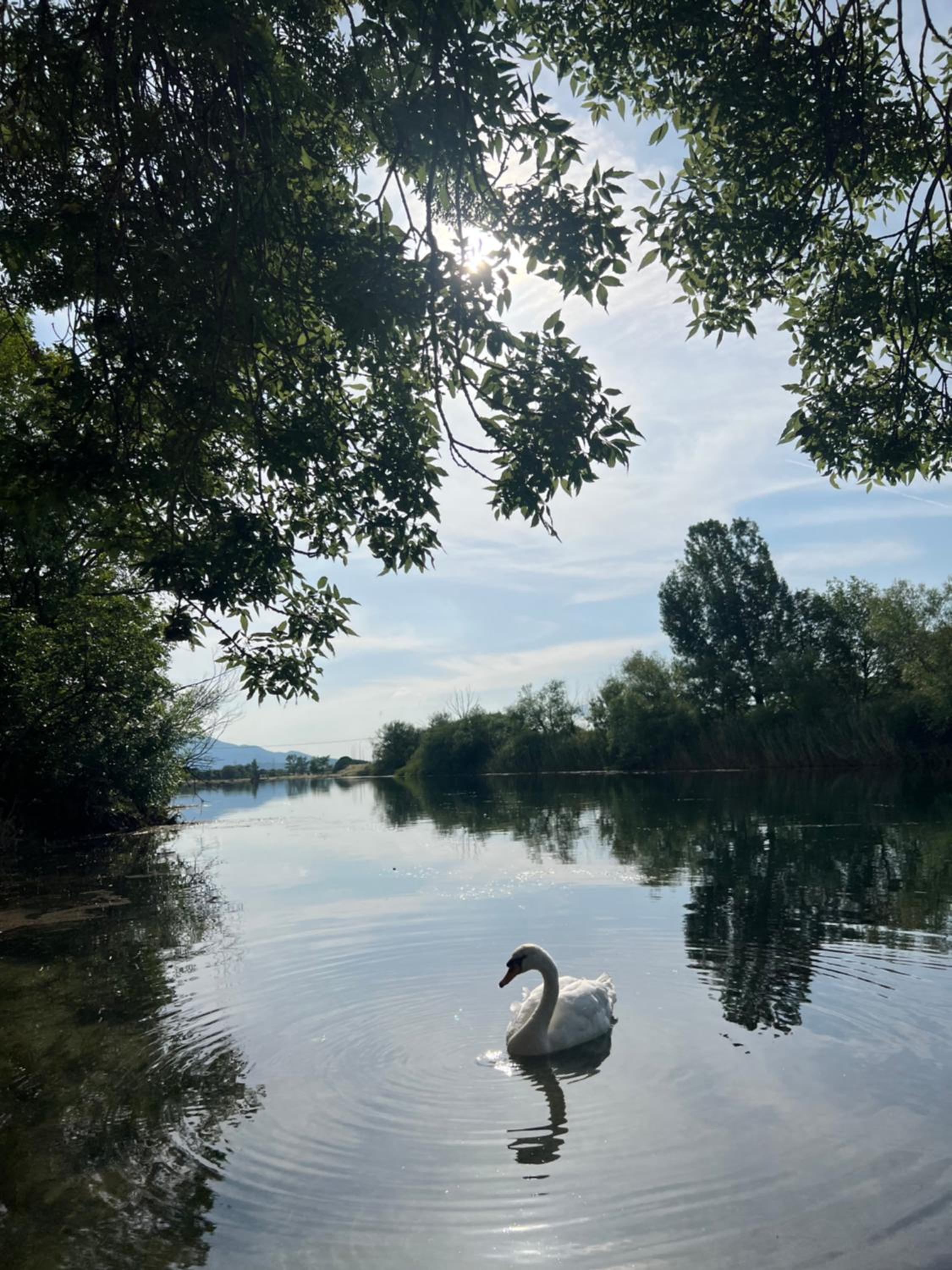 Odmor uz Trebišnjicu