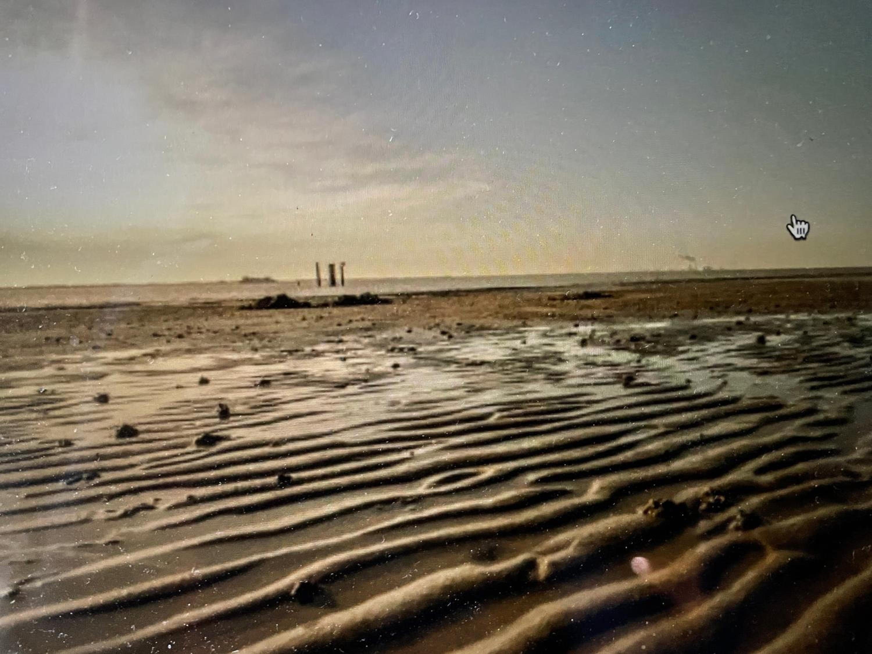 Seestern am Naturstrand