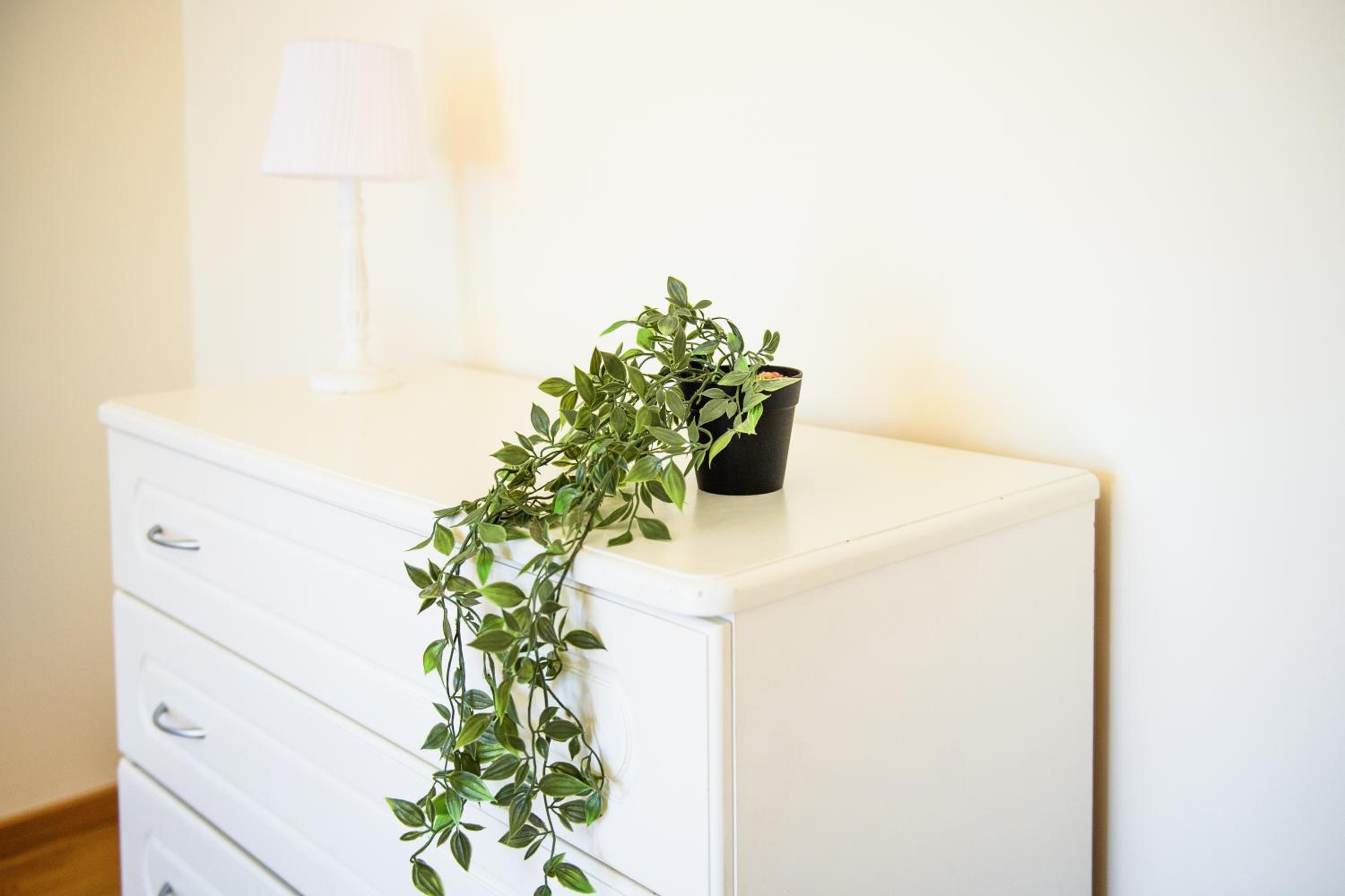 Elegance 1 bedroom apartment