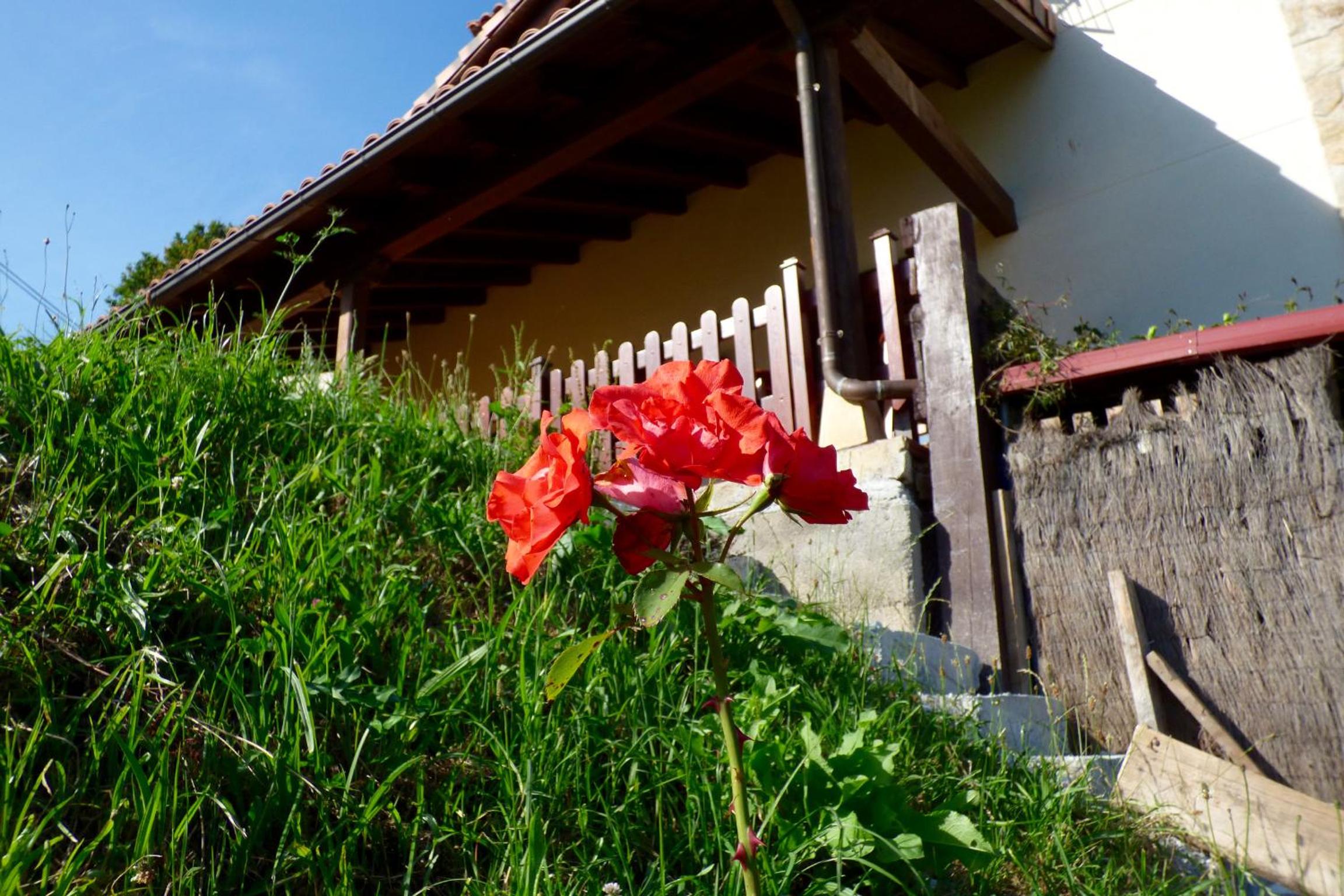 La Casona de Palu
