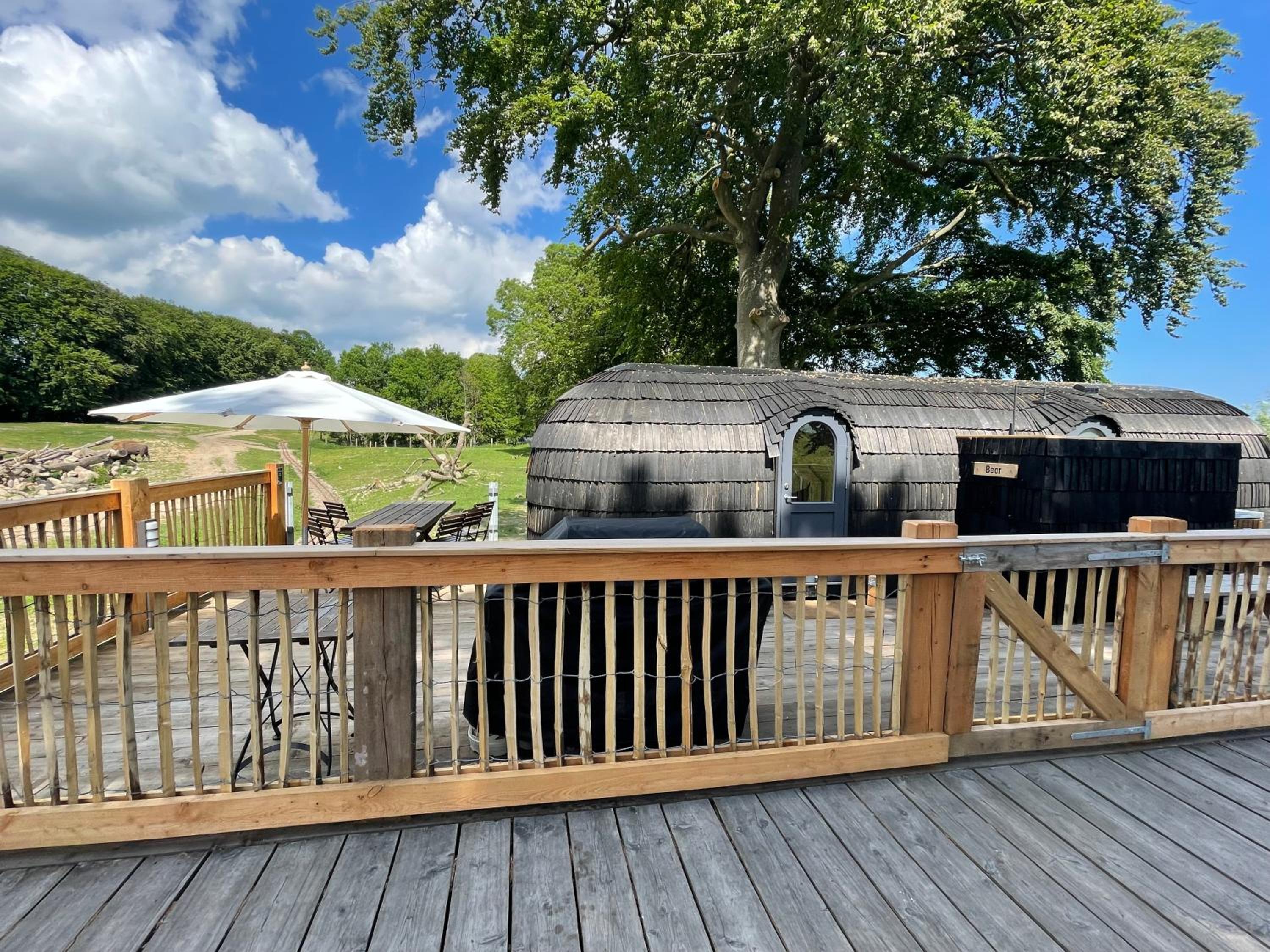 Ree Park Safari
