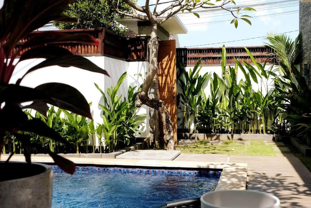 Villa Cleopatra Canggu view 5