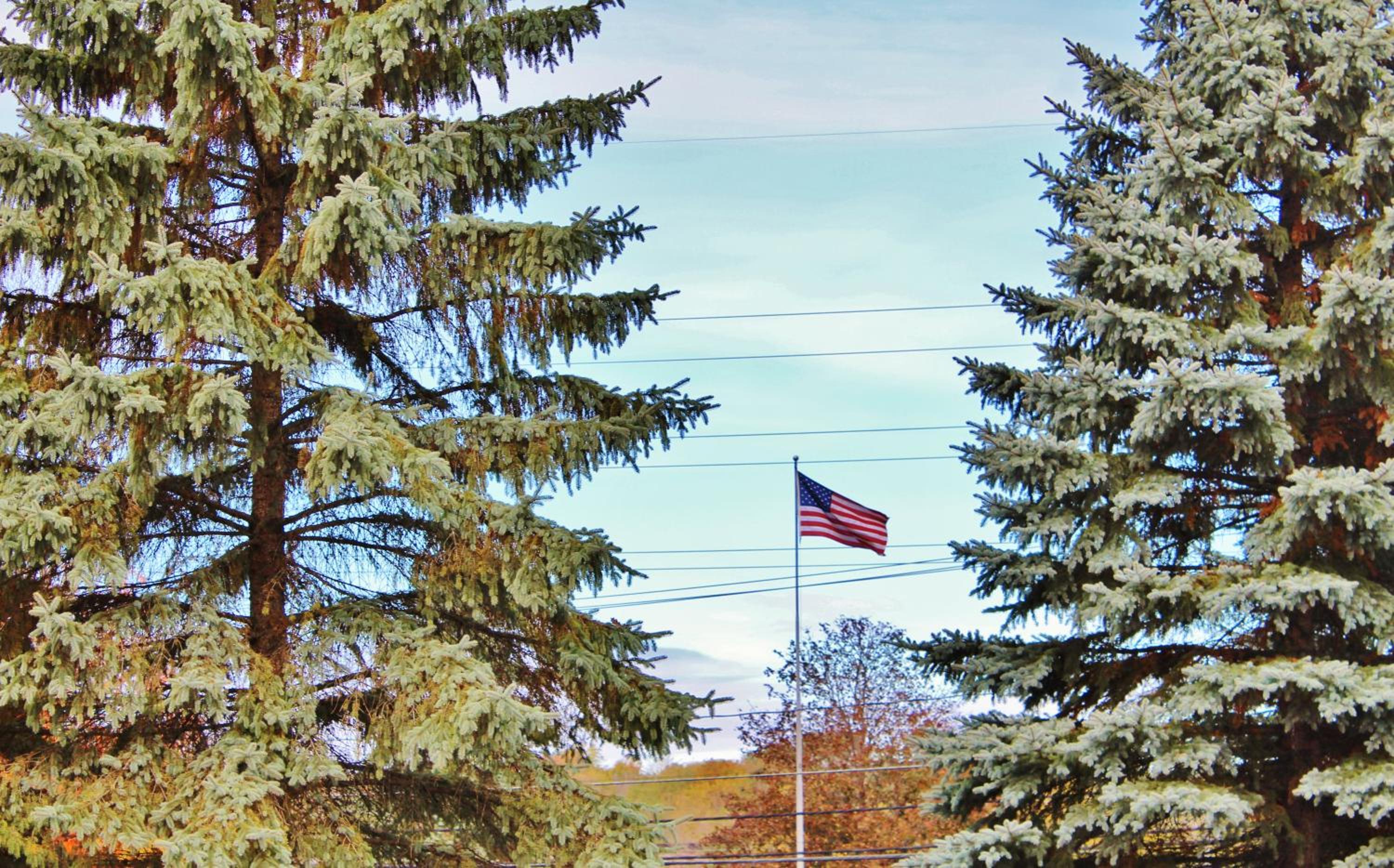 Blue Spruce Motel