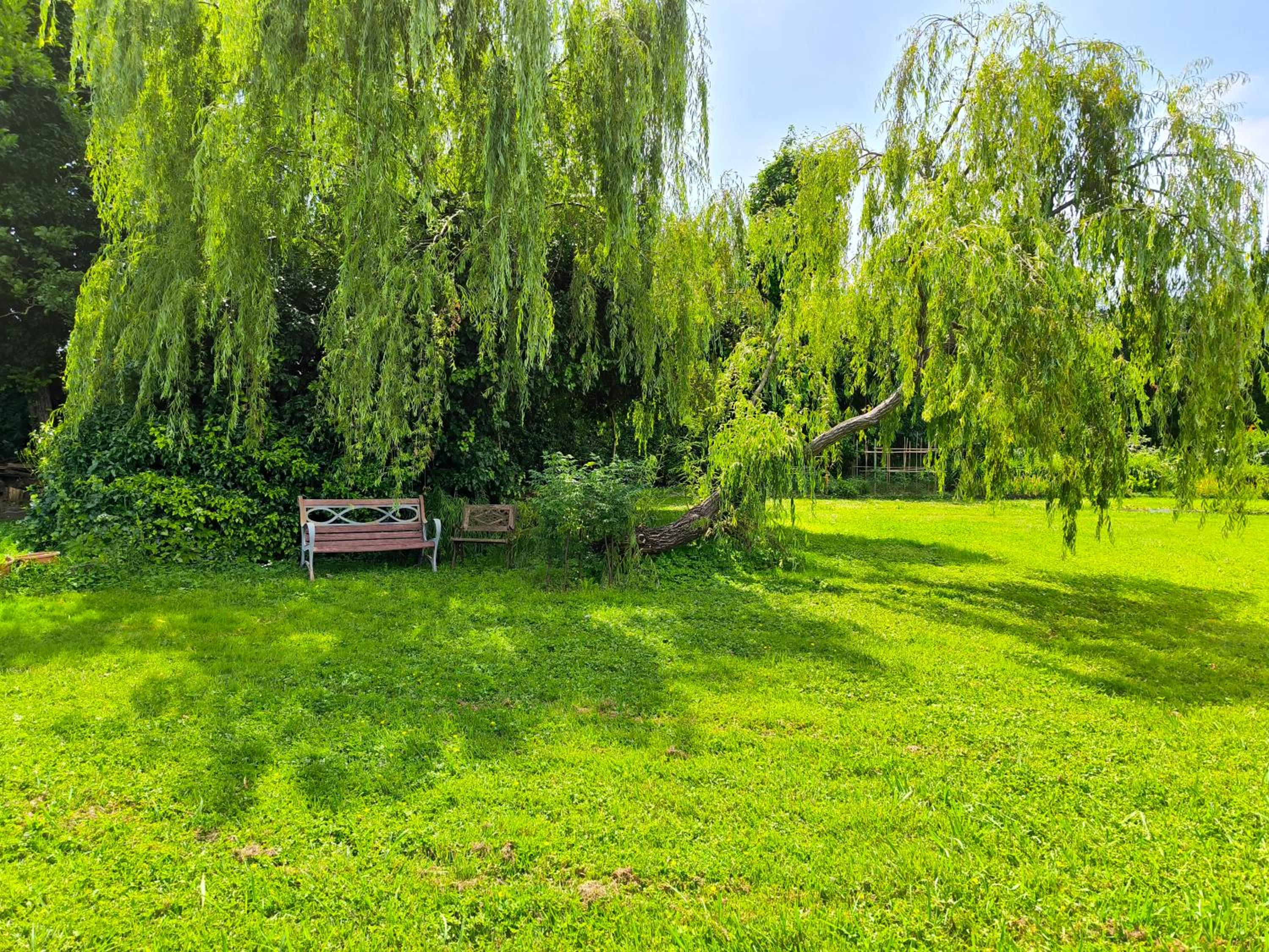 Photo 31