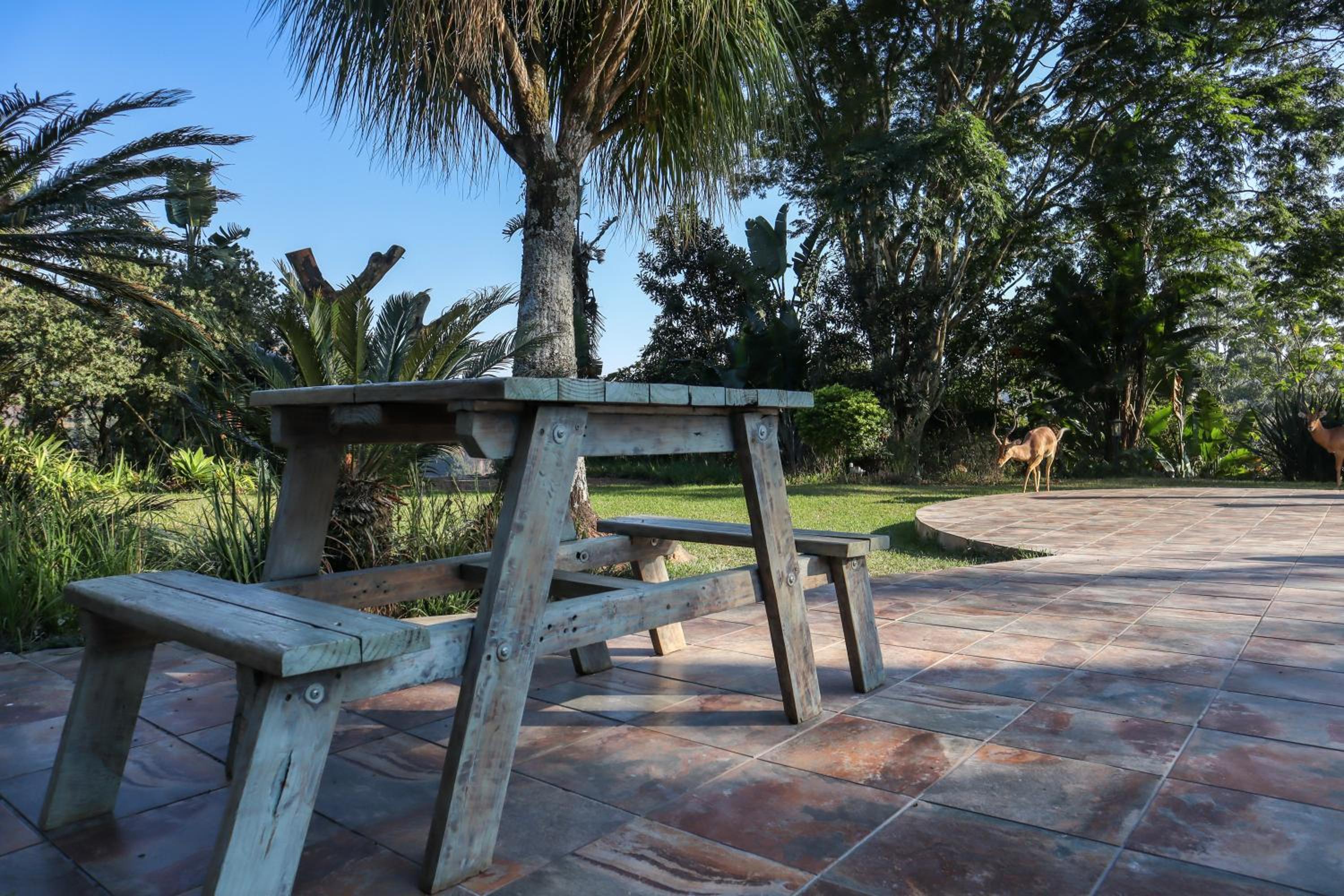 Matusadona Guest Lodge