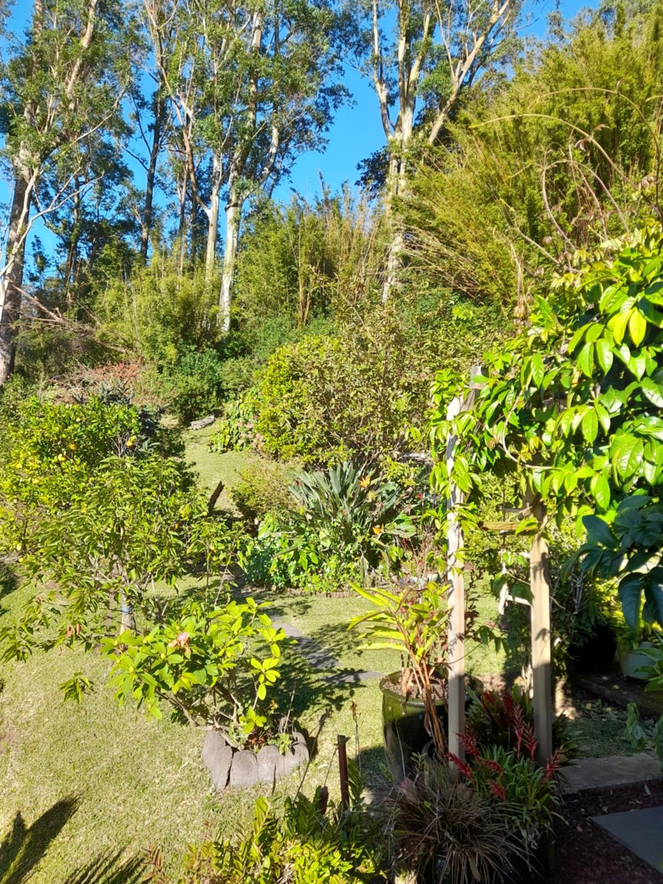 Le Val Rambaud view 5