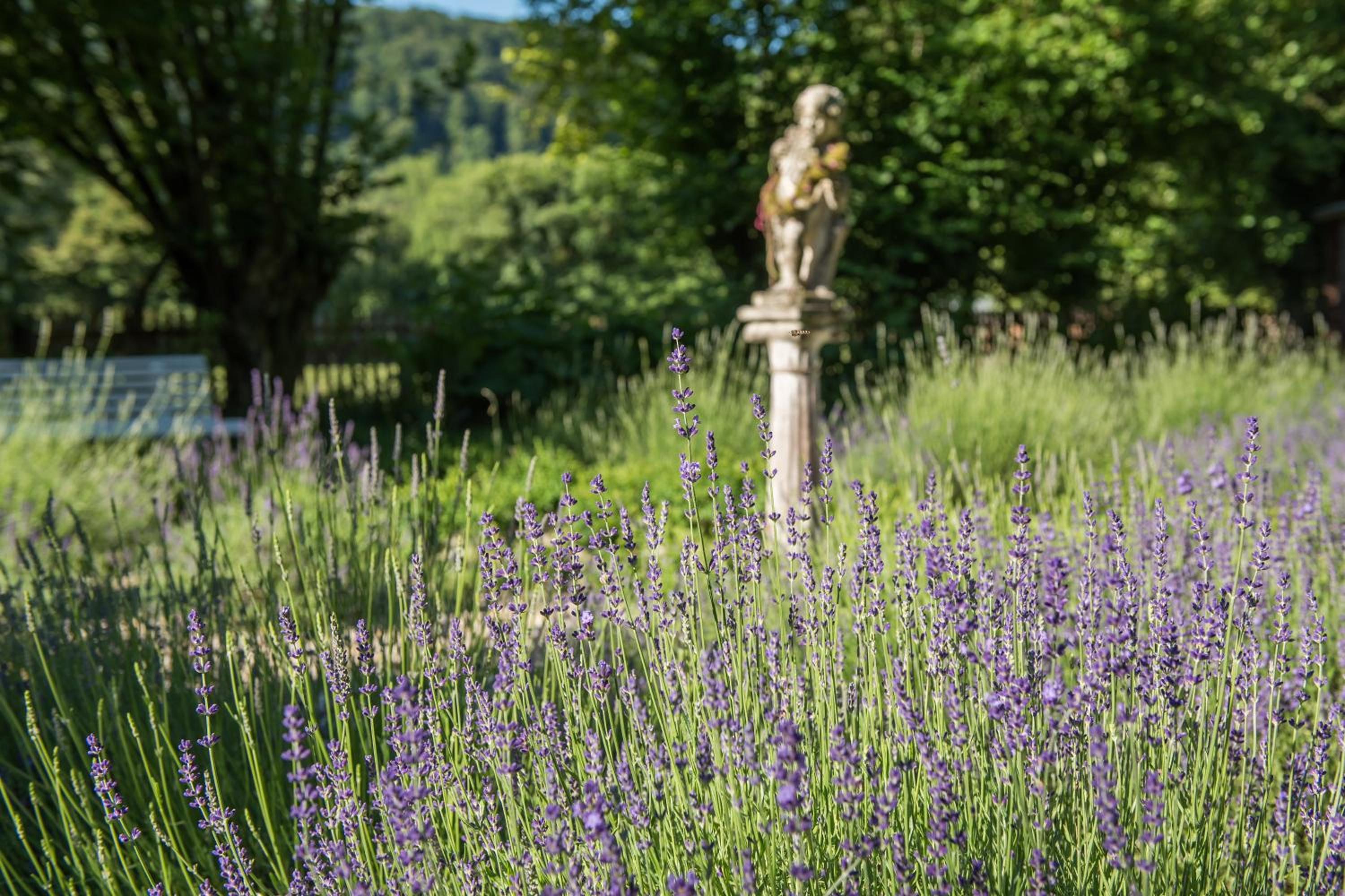 Altes Forstamt im Teutoburger Wald Fewo Wald-Blick