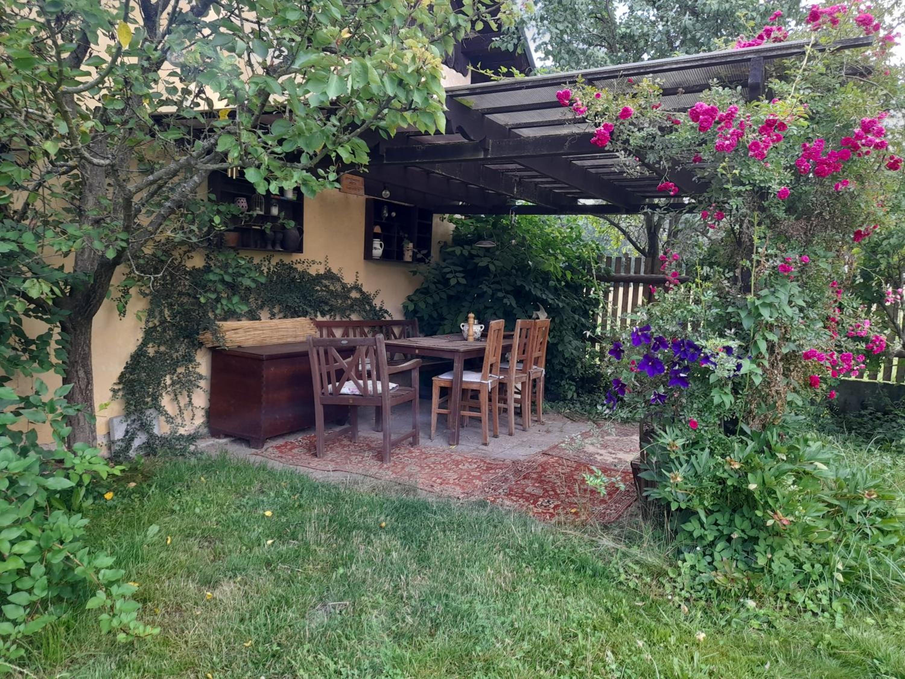 Glamping na samotě u lesa