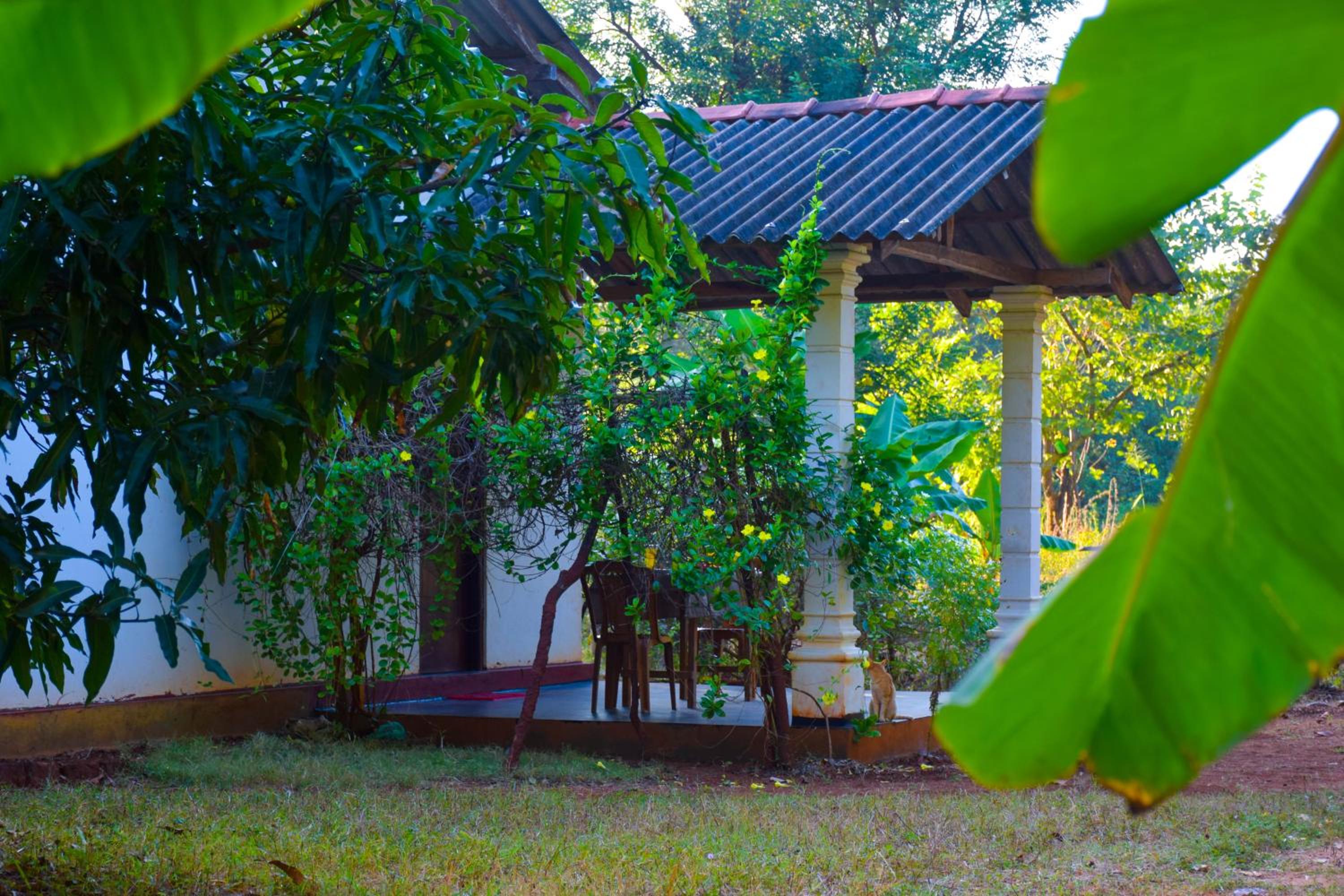 Senu Homestay