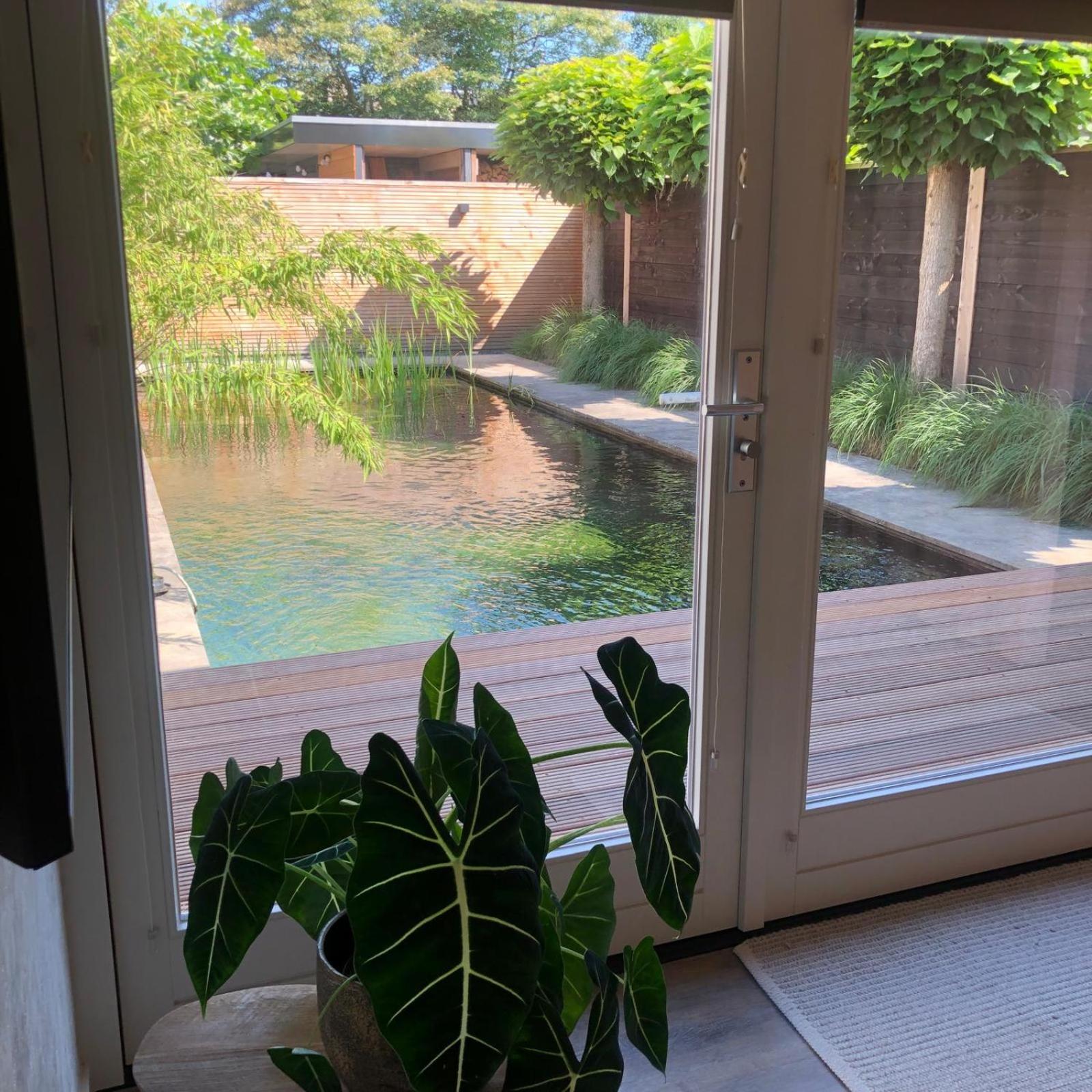 The Little White House - Property Image 5