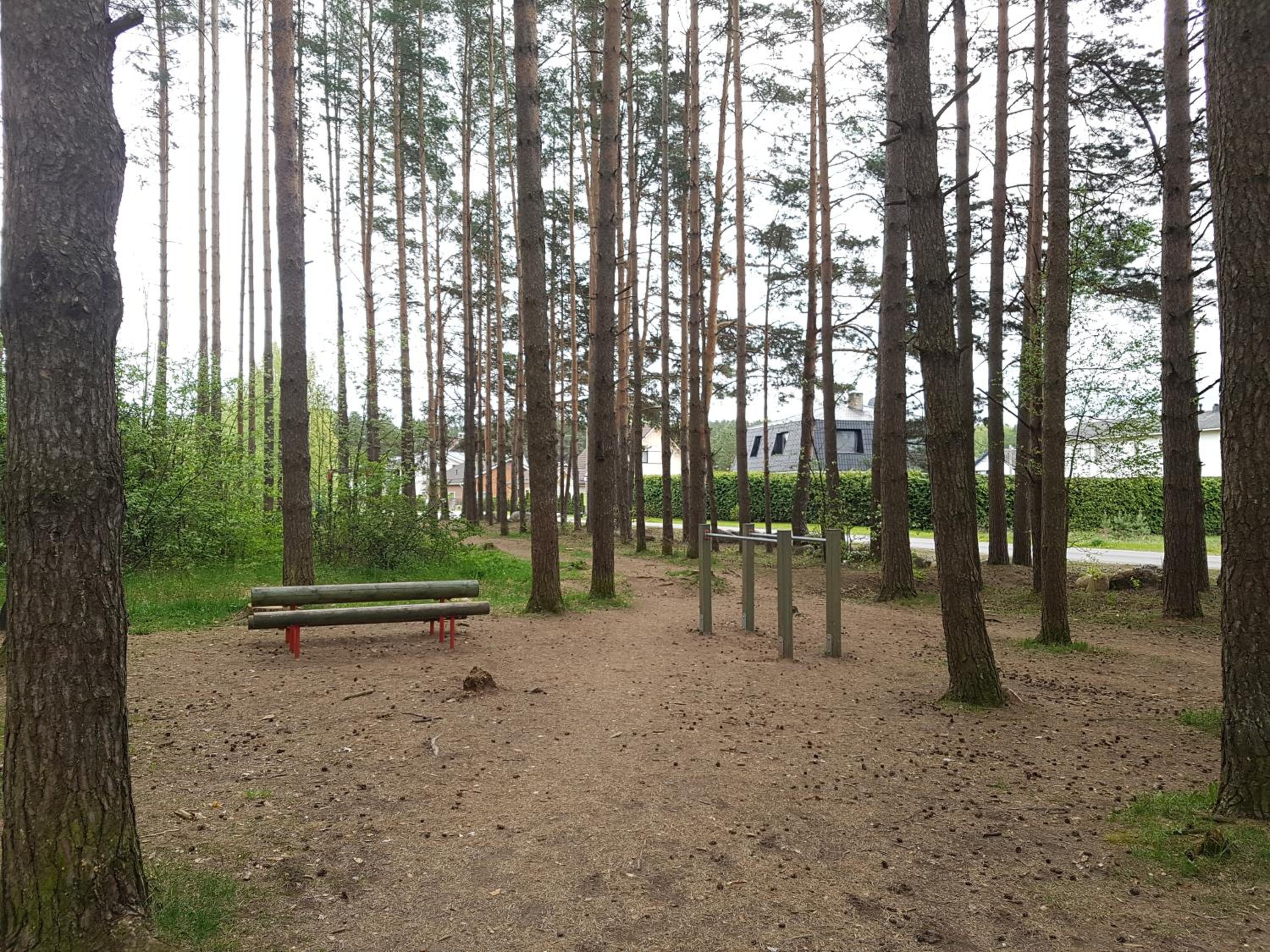 Photo 6