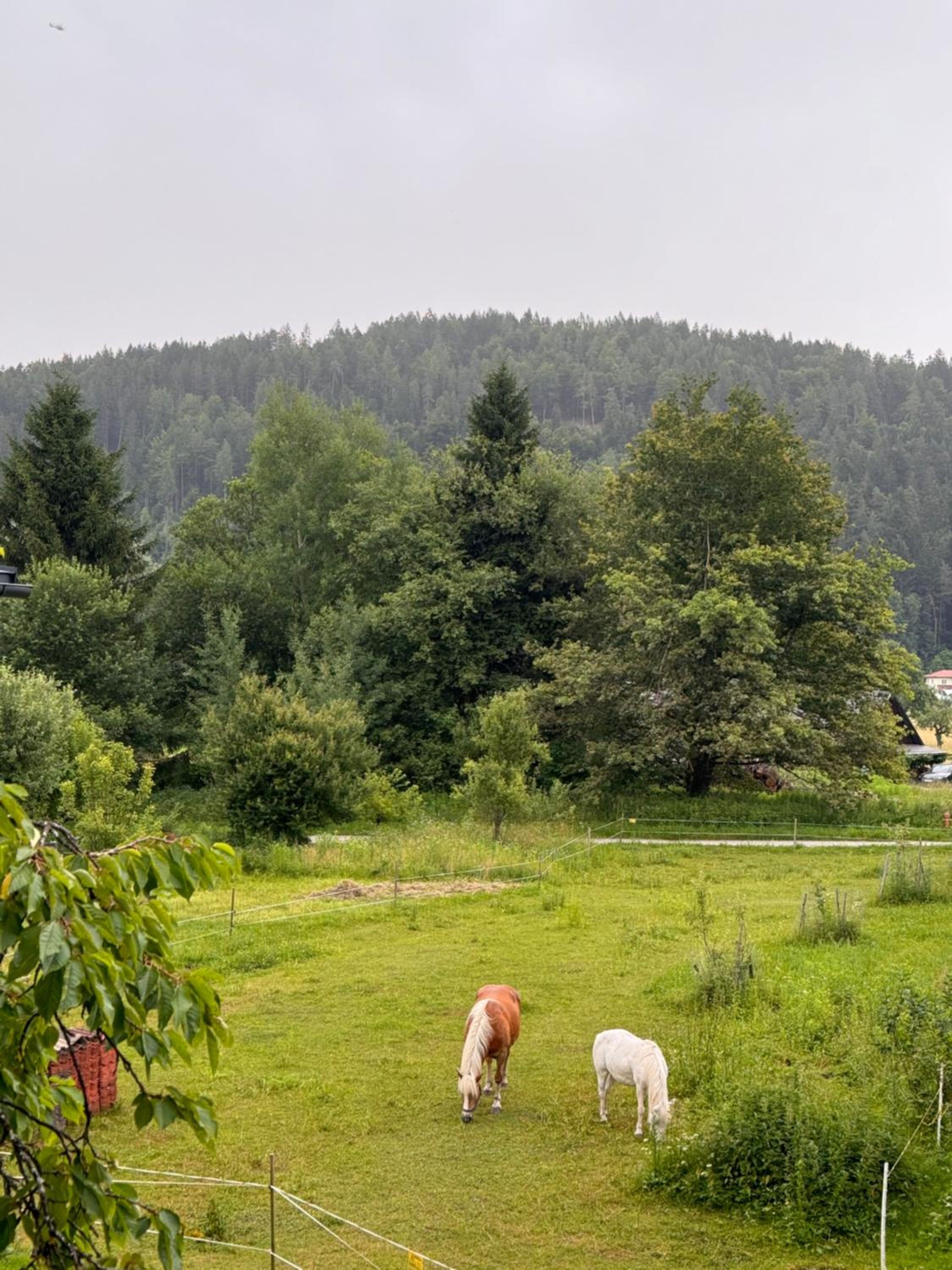 Ferienwohnung, nahe dem Faaker See