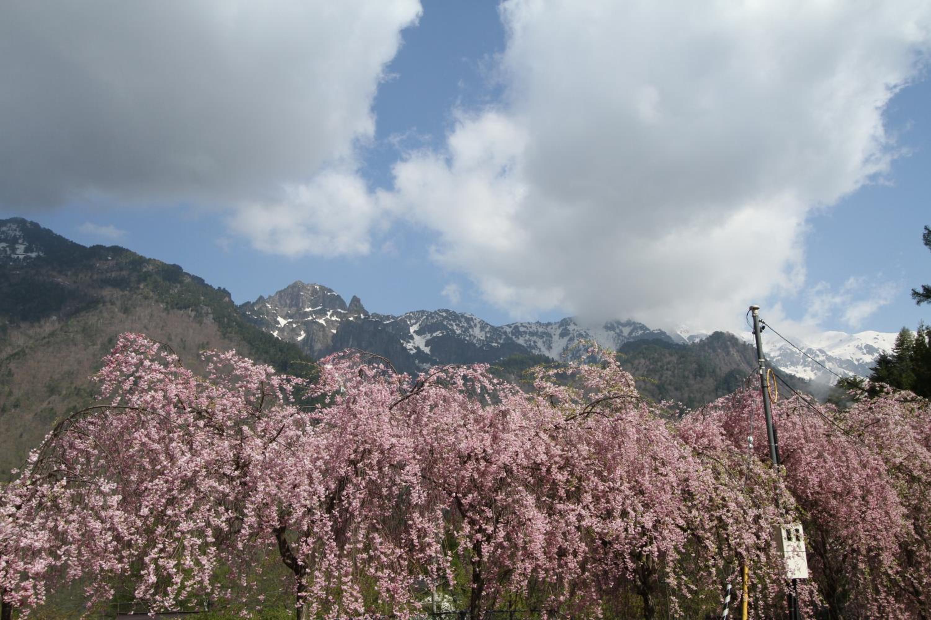 Minshuku Takizawa