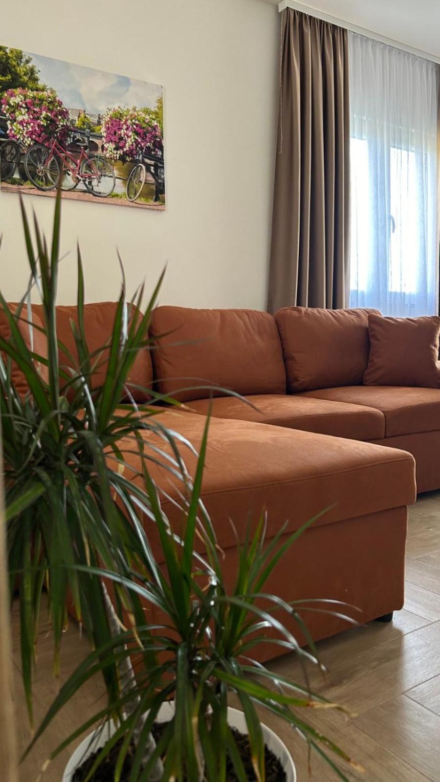 Apartmani Radmanovic photo 4
